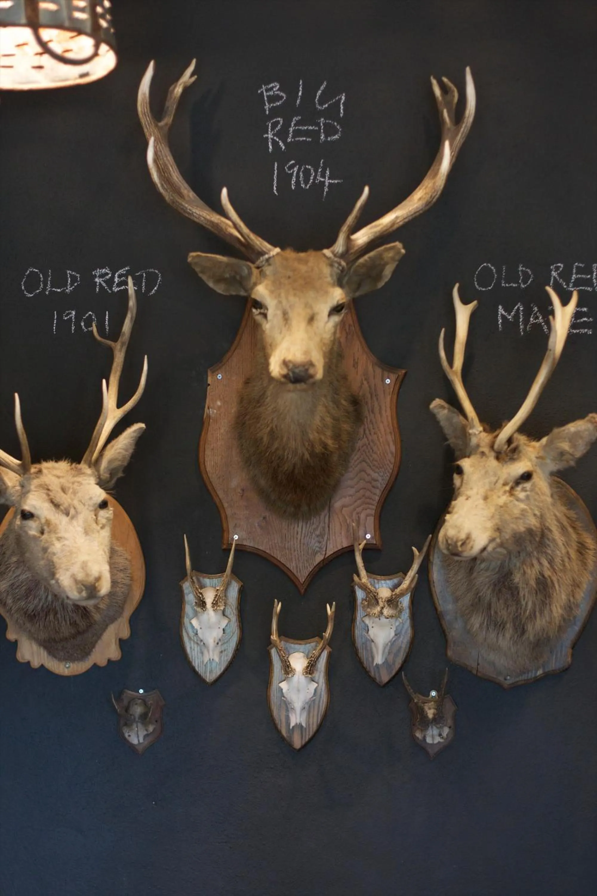 Decorative detail in The Kings Arms