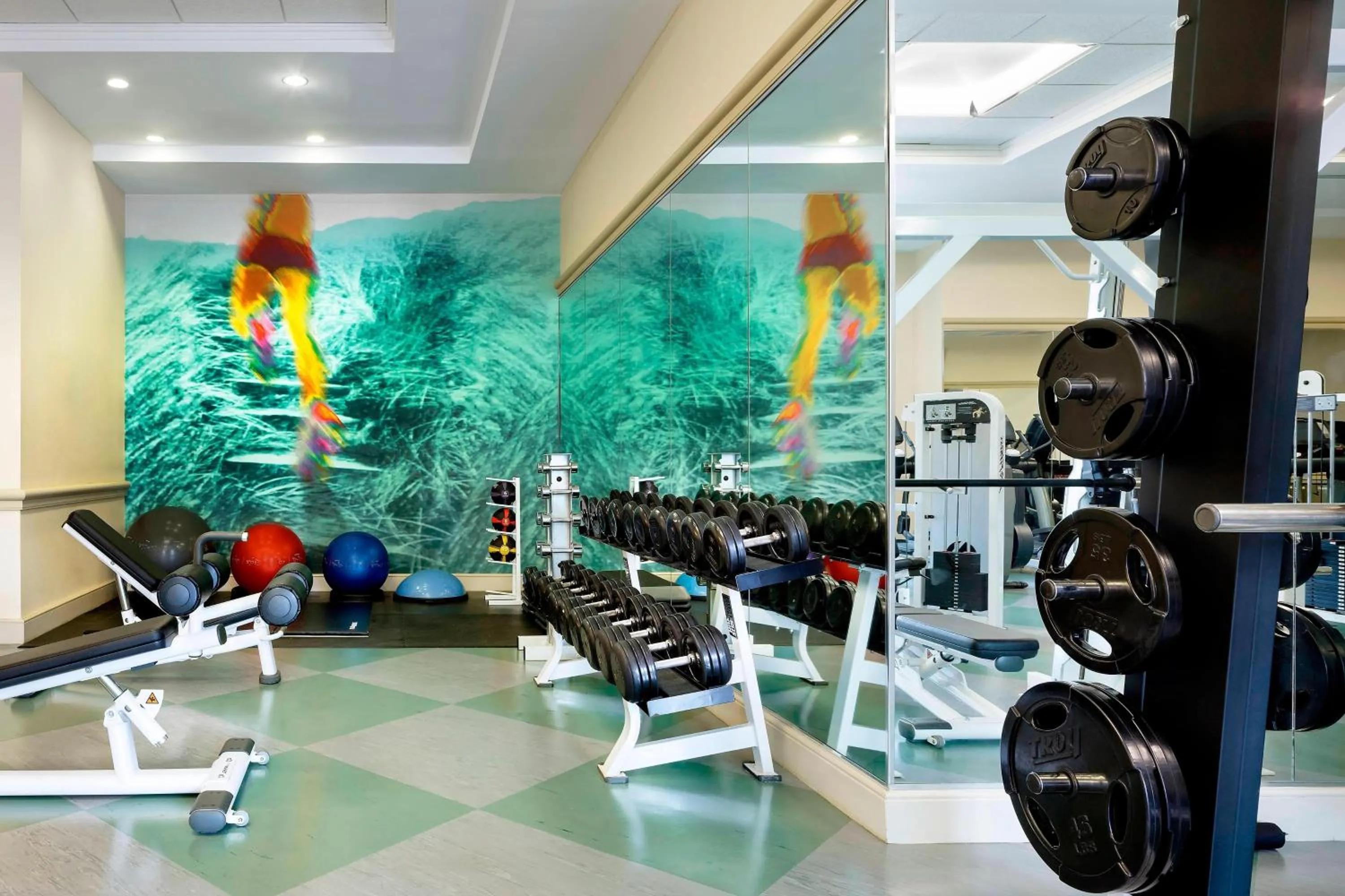 Fitness centre/facilities in Walt Disney World Swan