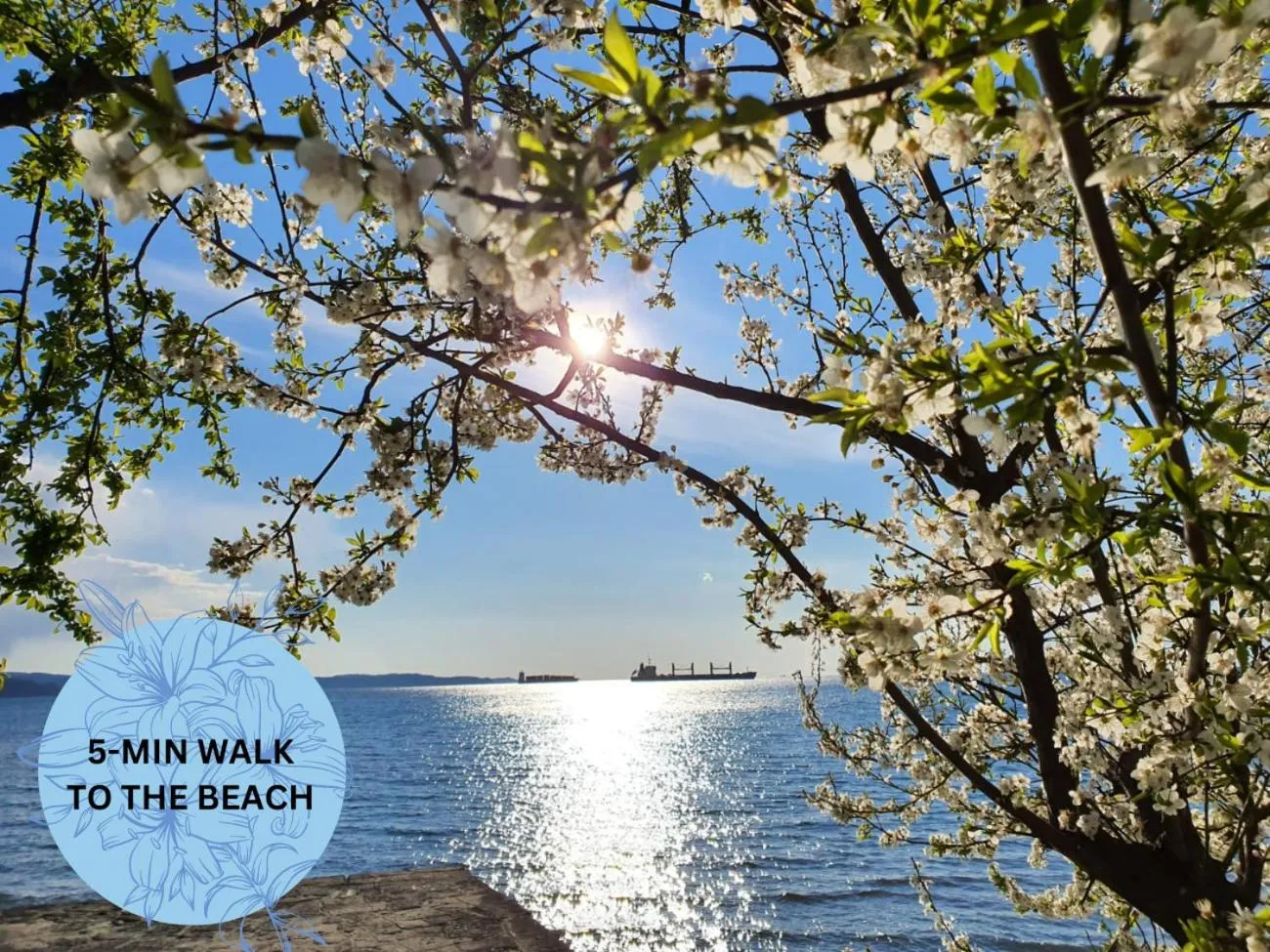 Beach in Rezidenca Ortus