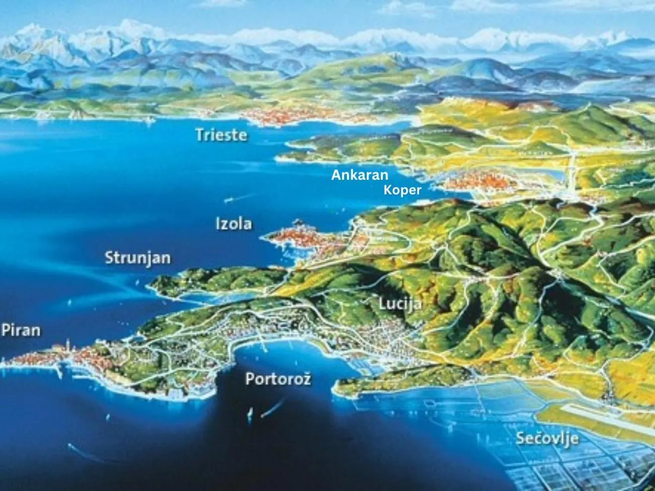 Nearby landmark in Rezidenca Ortus