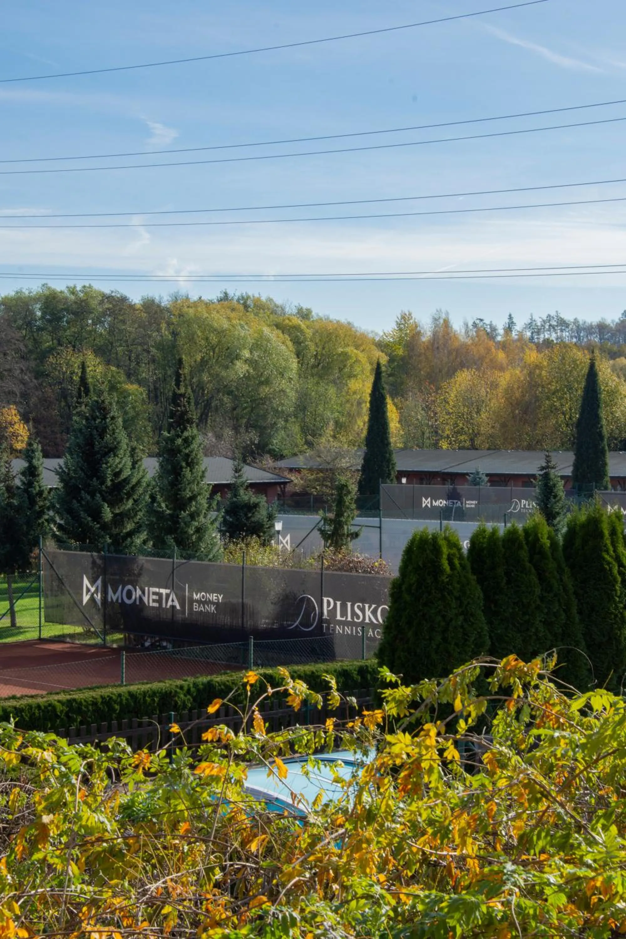 Garden view in Oaza Ricany