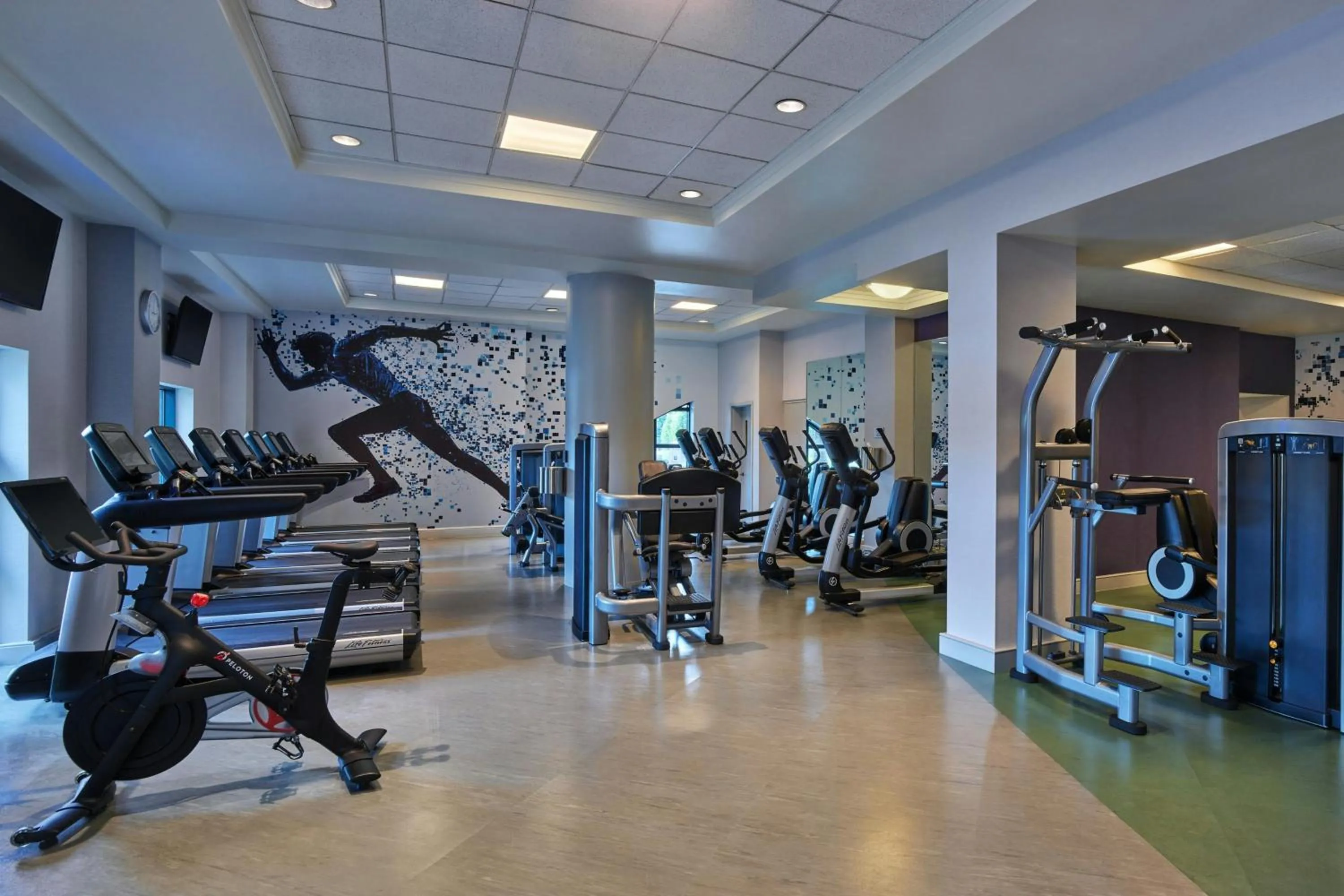 Fitness centre/facilities in Walt Disney World Dolphin