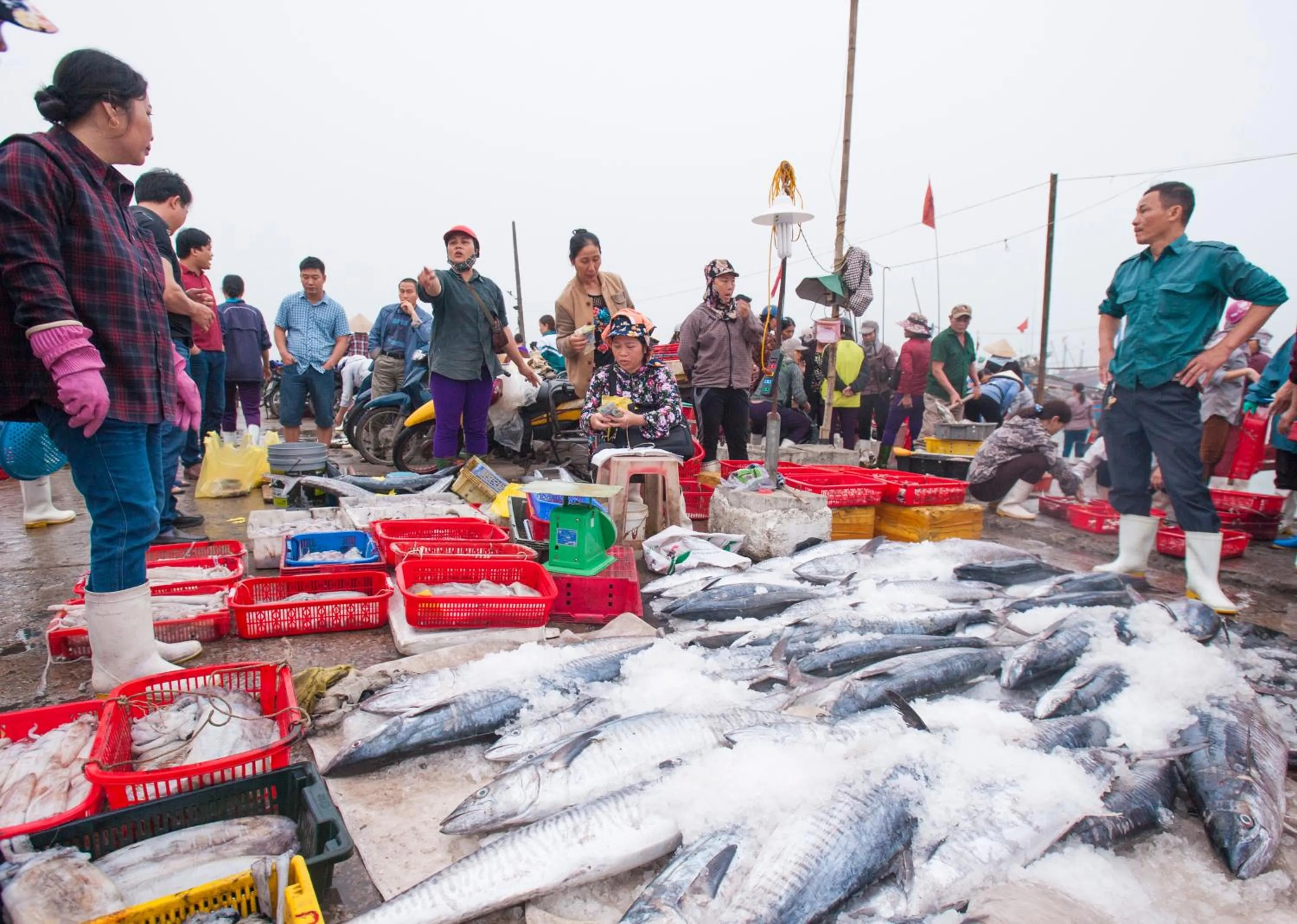 Nearby landmark in Thanh Tu Hotel