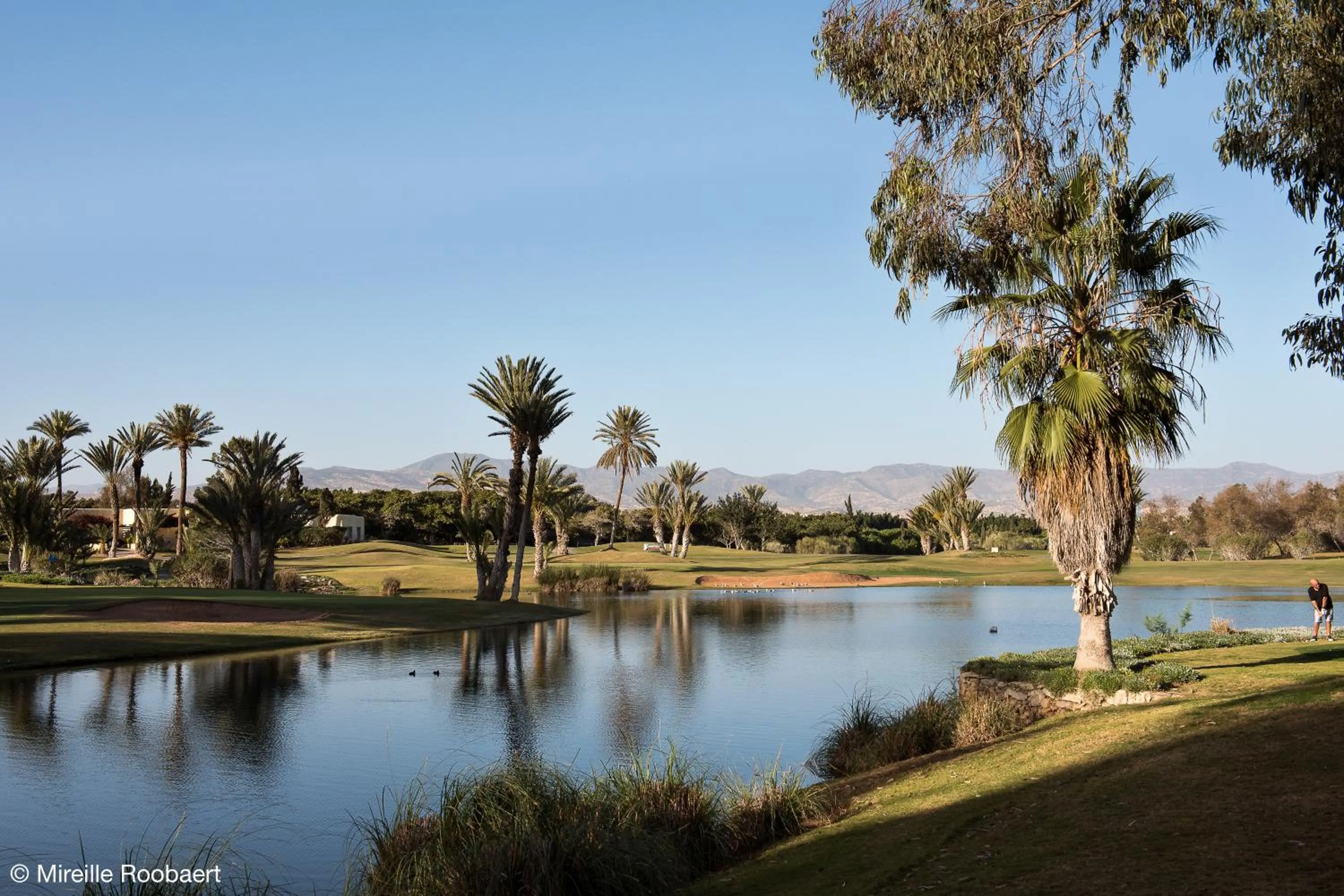 Sports in Dar Maktoub