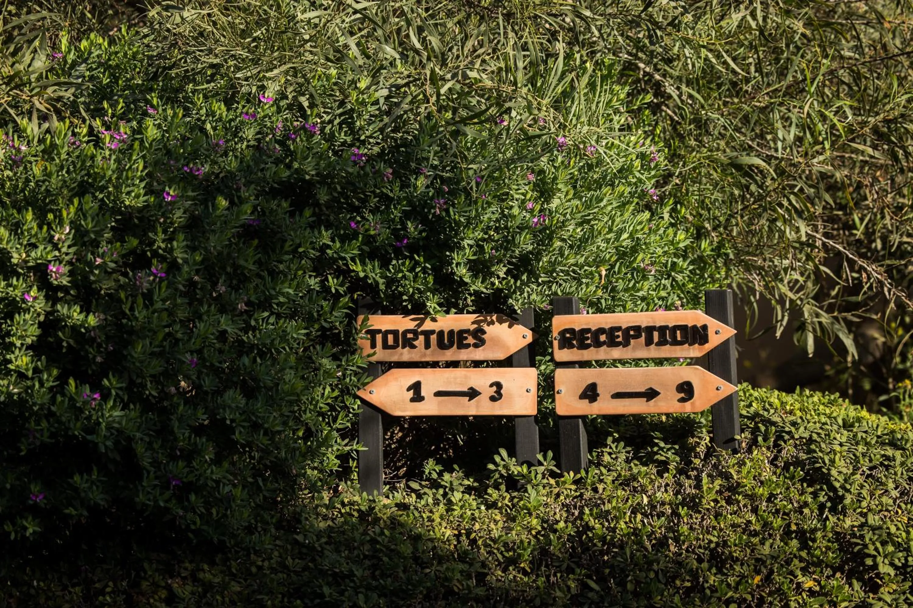 Garden in Dar Maktoub