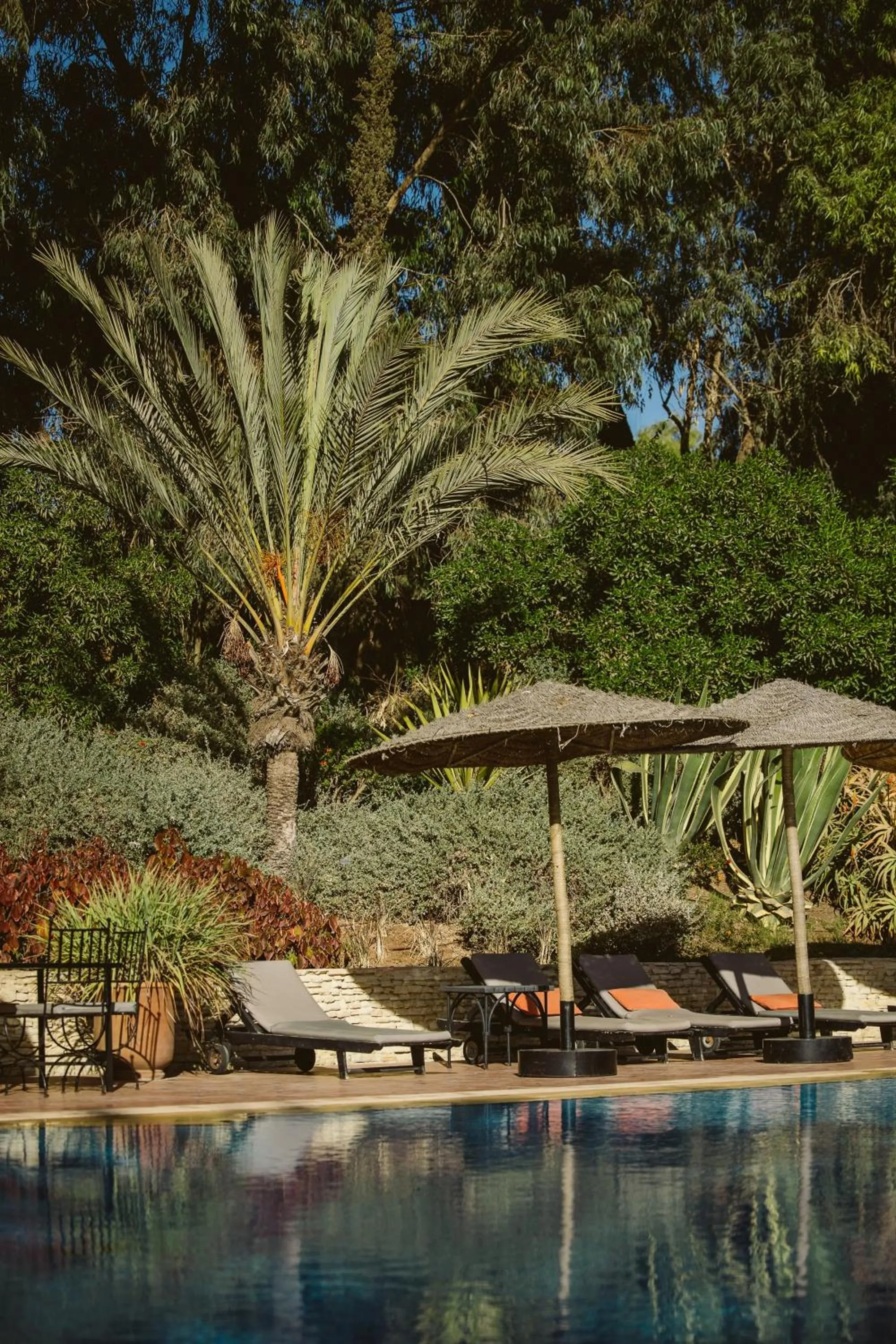 Swimming pool in Dar Maktoub