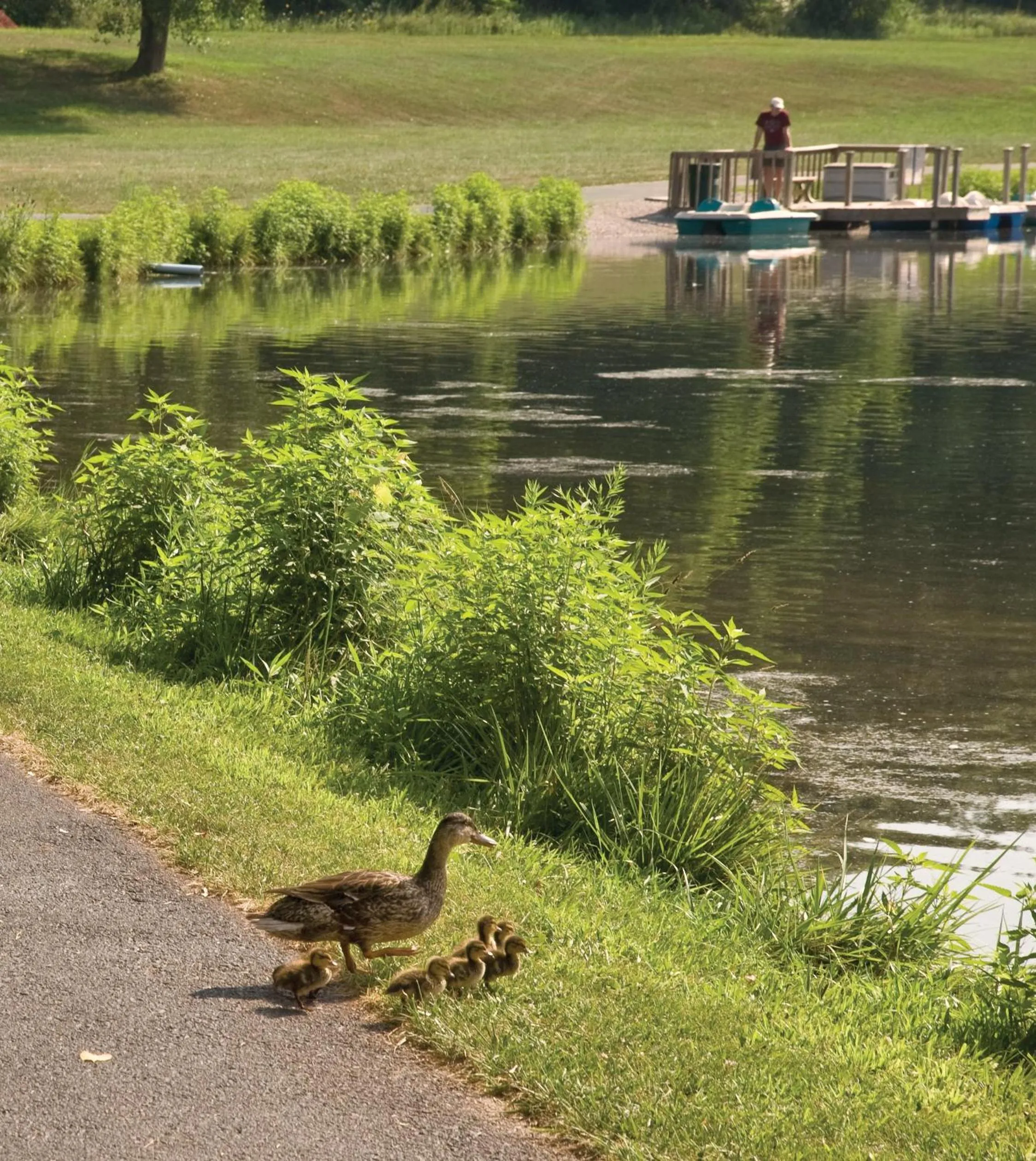 Other in Club Wyndham Tamarack