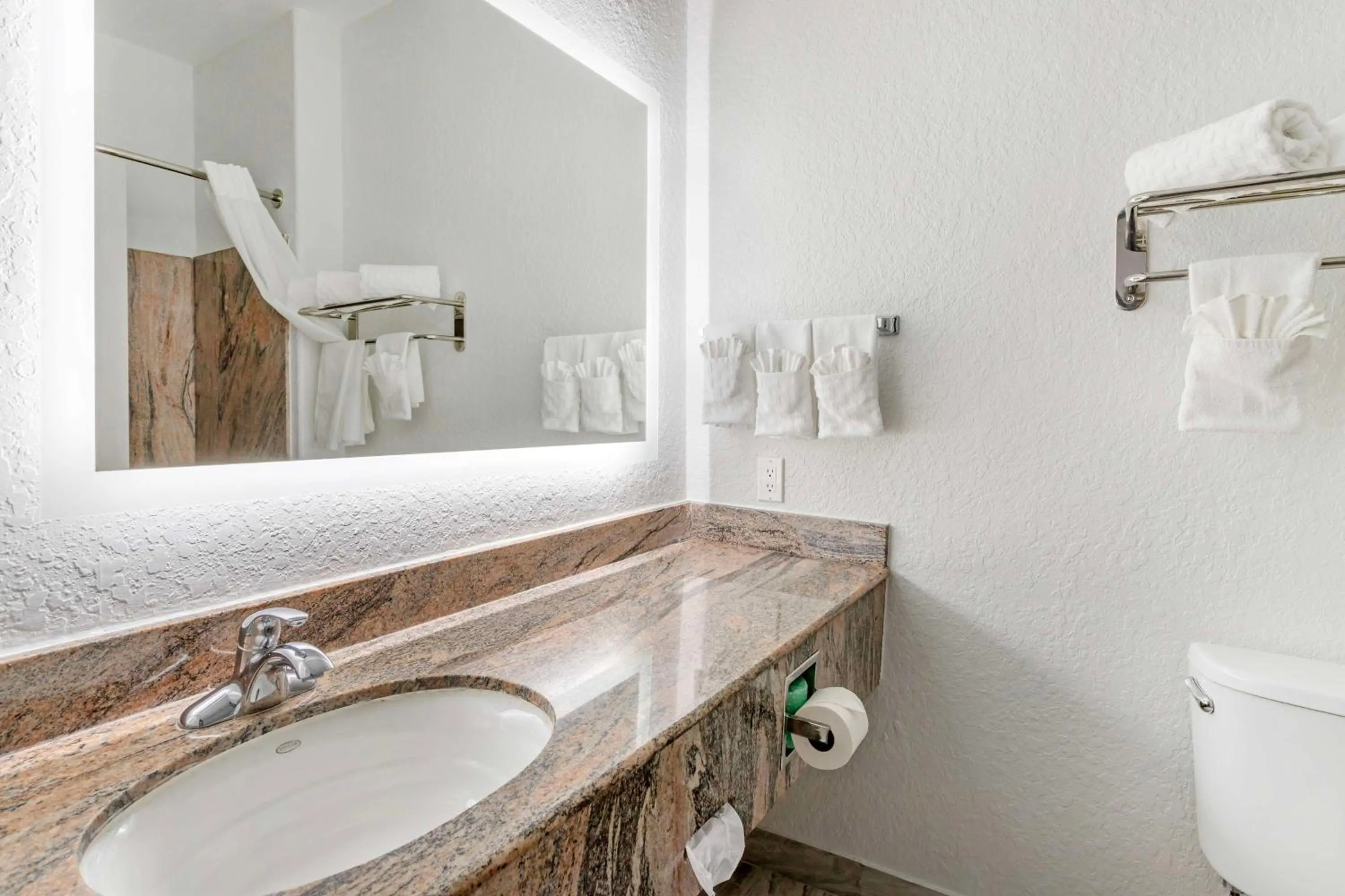 Bathroom in Best Western Texas City I-45