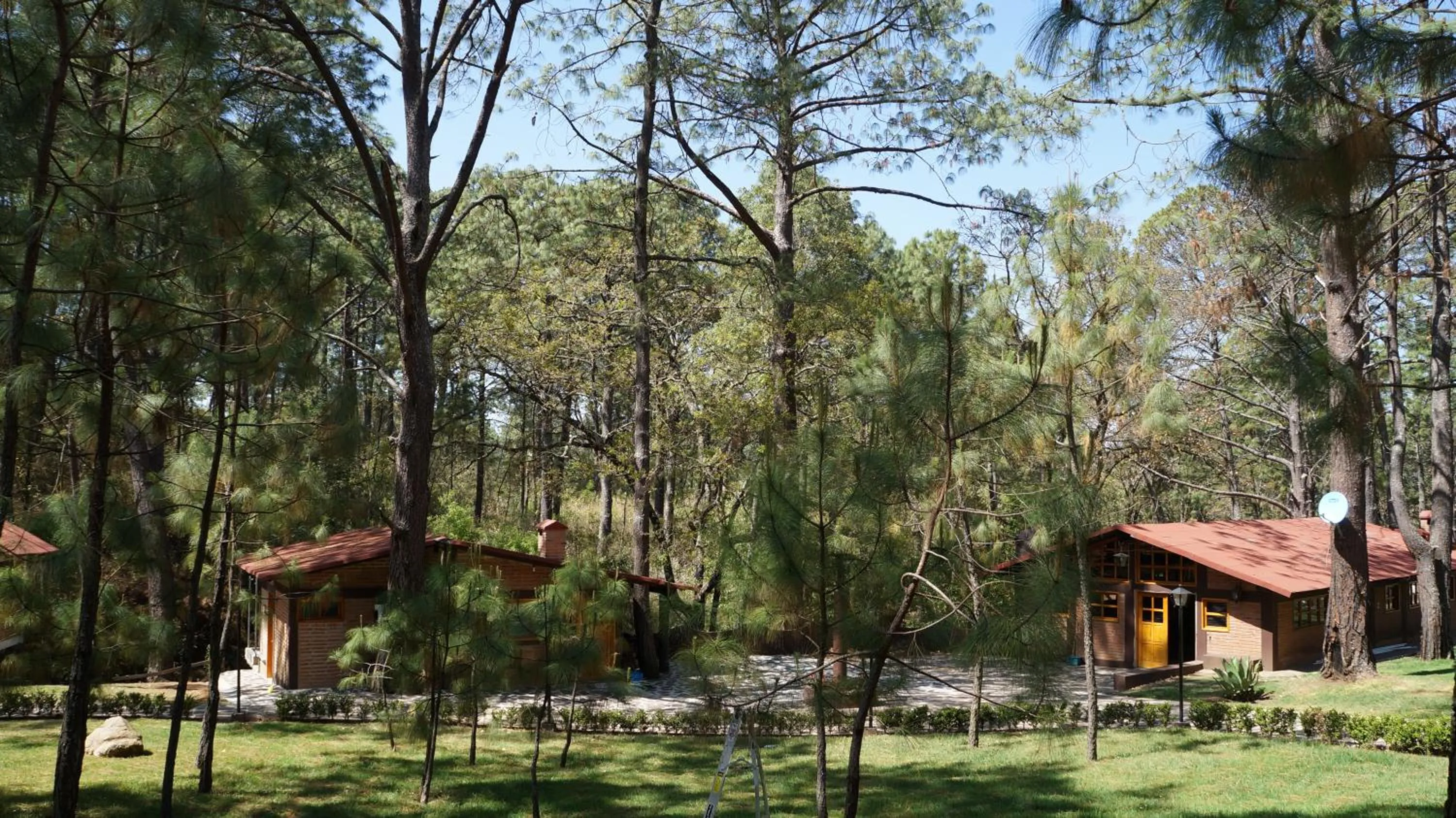 Property building in Rincón del Bosque