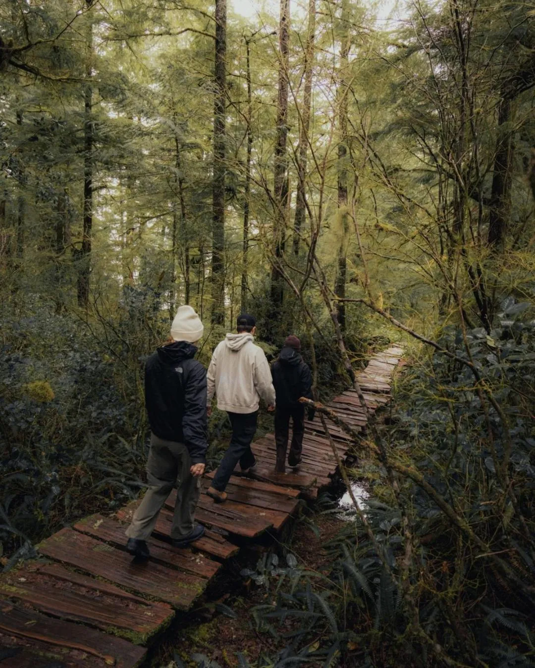 Activities in Tofino Resort + Marina