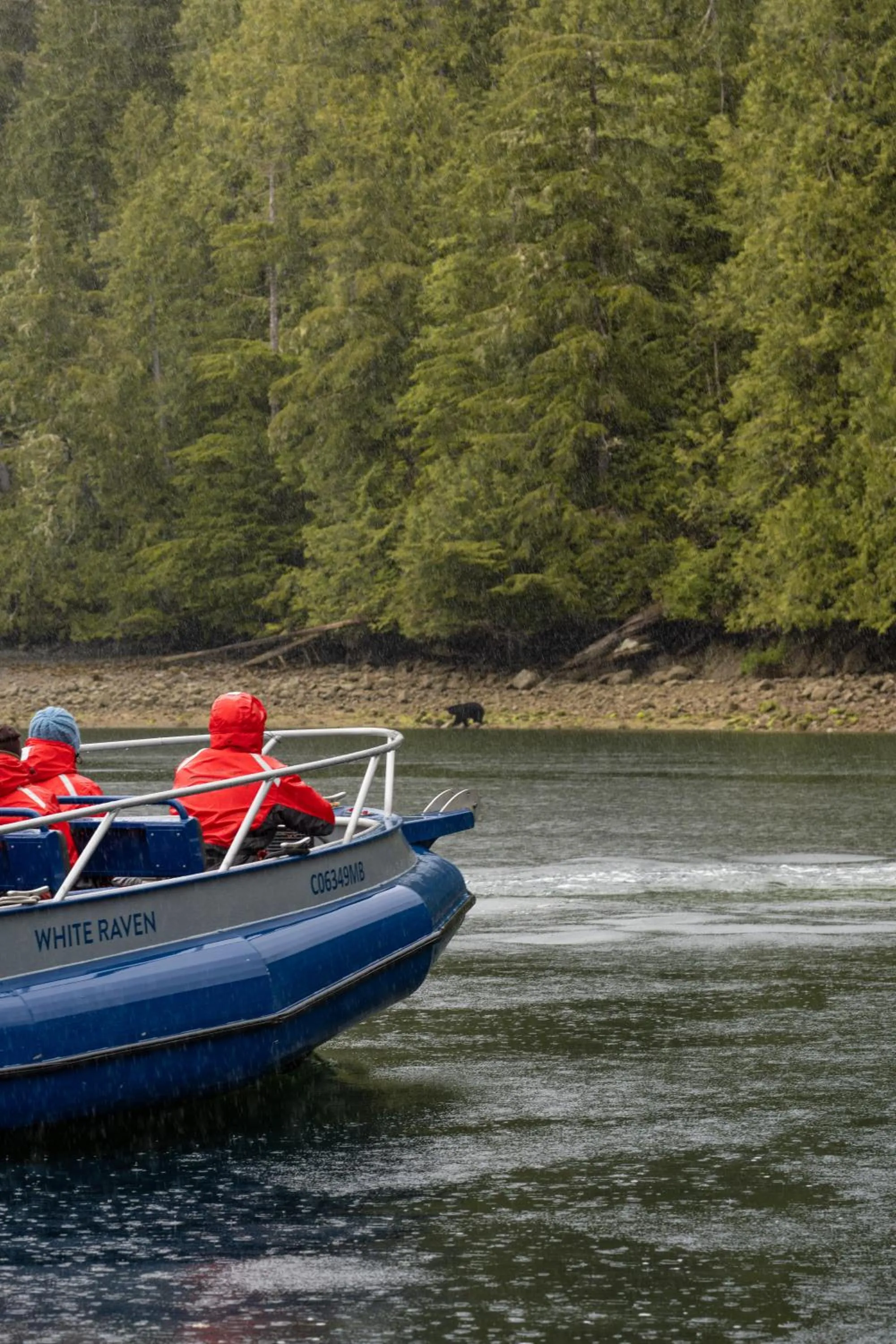 Activities in Tofino Resort + Marina