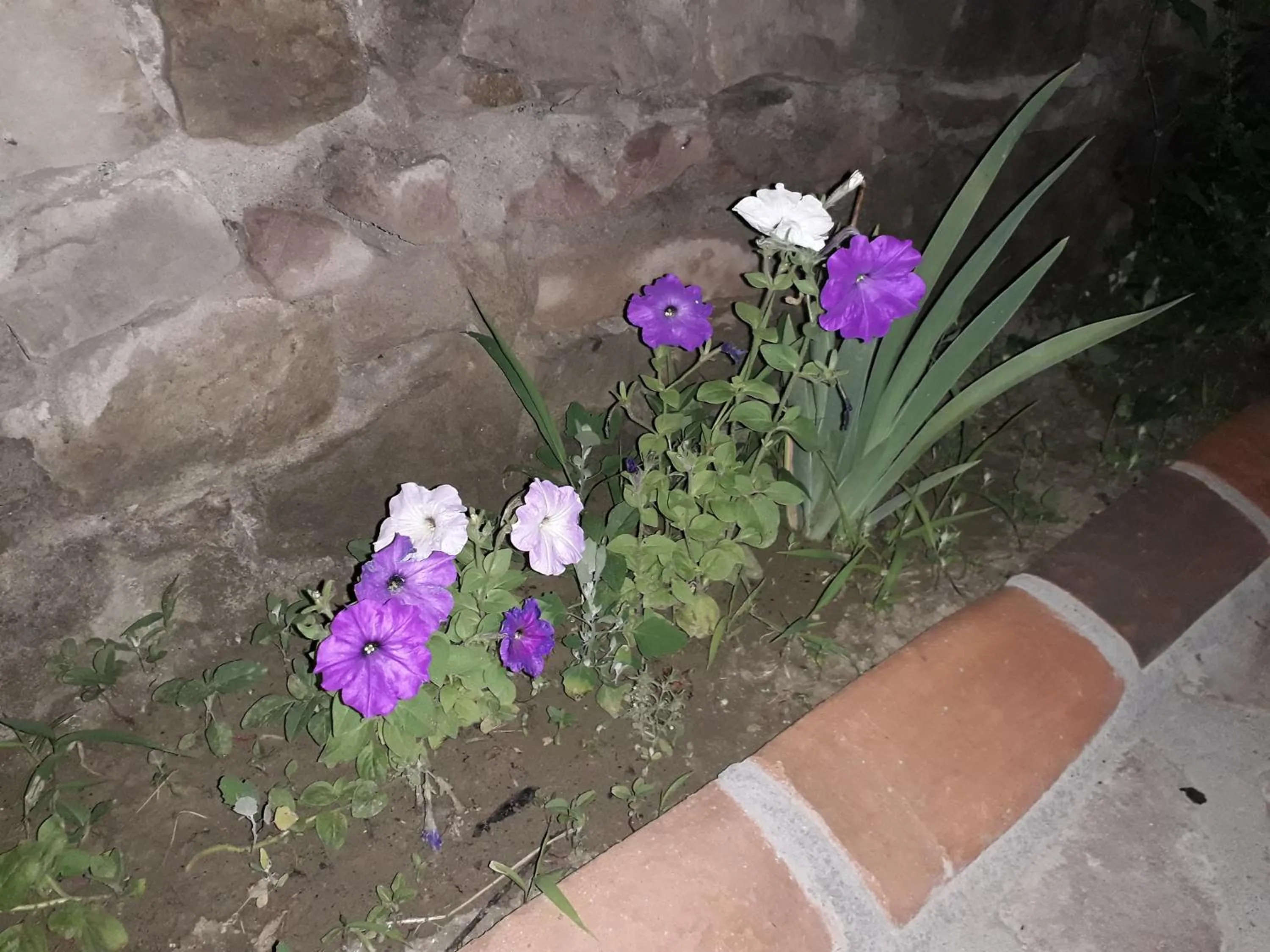 Property building in Hotel Rabati