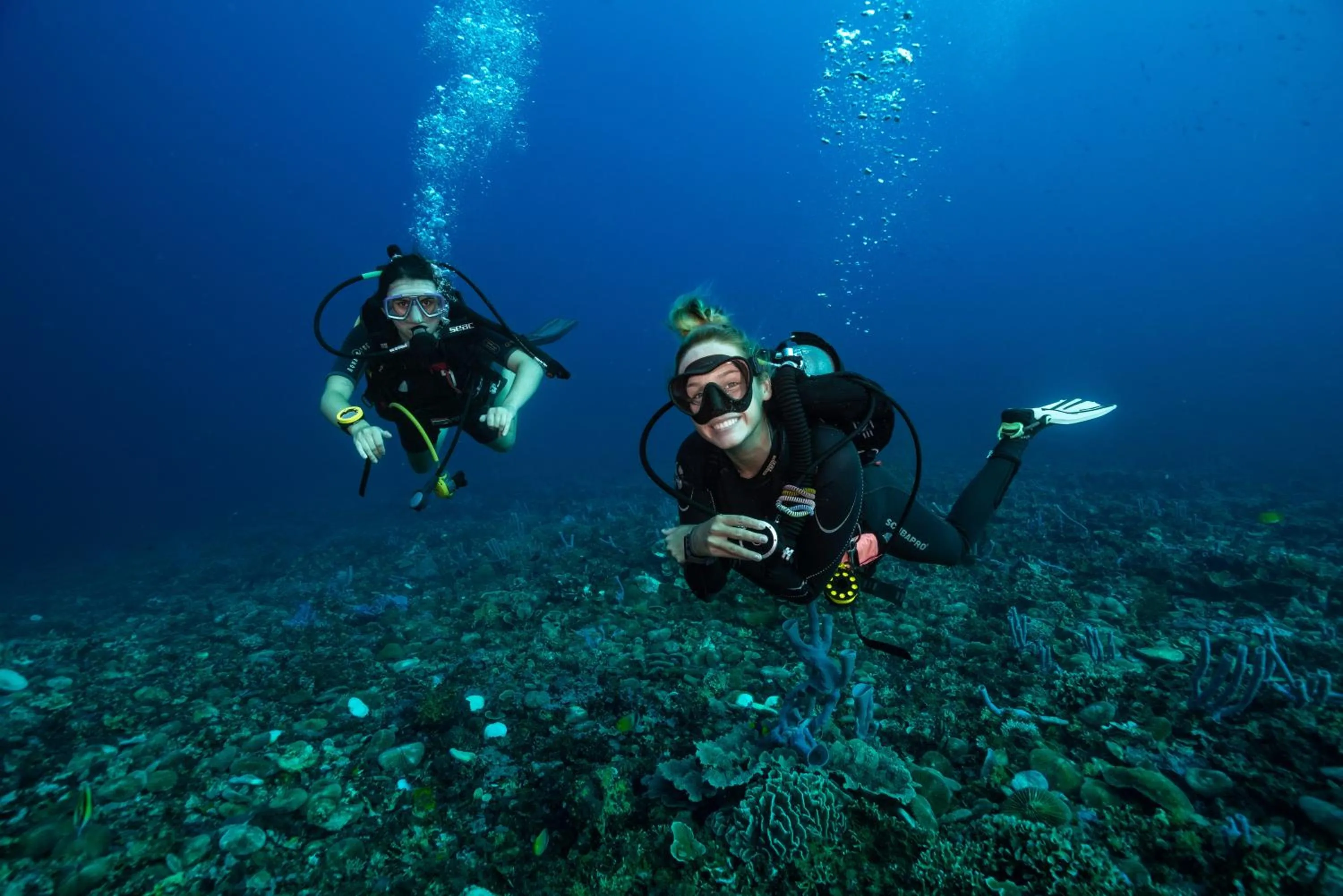 Diving in Trawangan Dive Resort