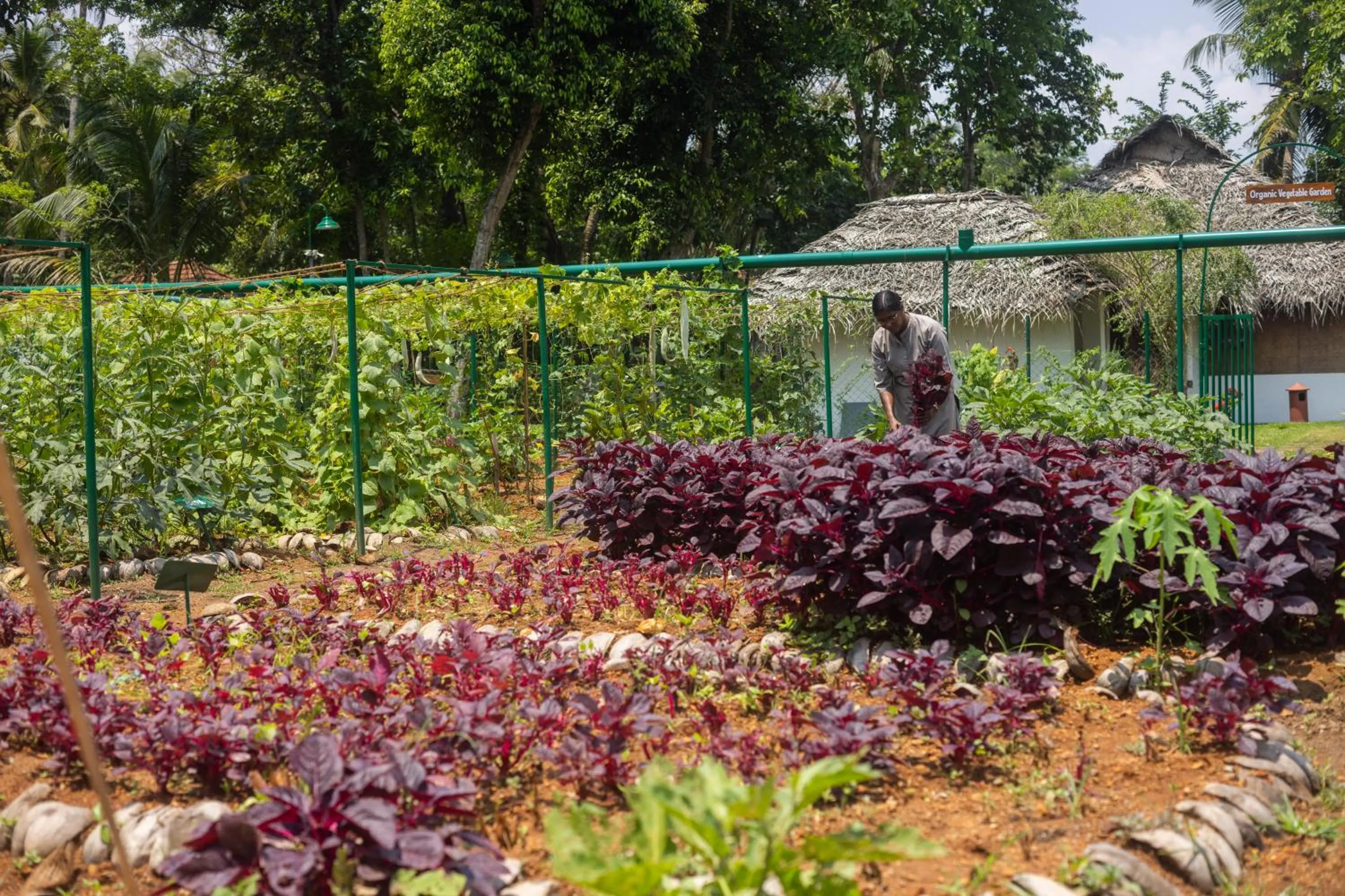 Garden in Coconut Lagoon Kumarakom - A CGH Earth Experience