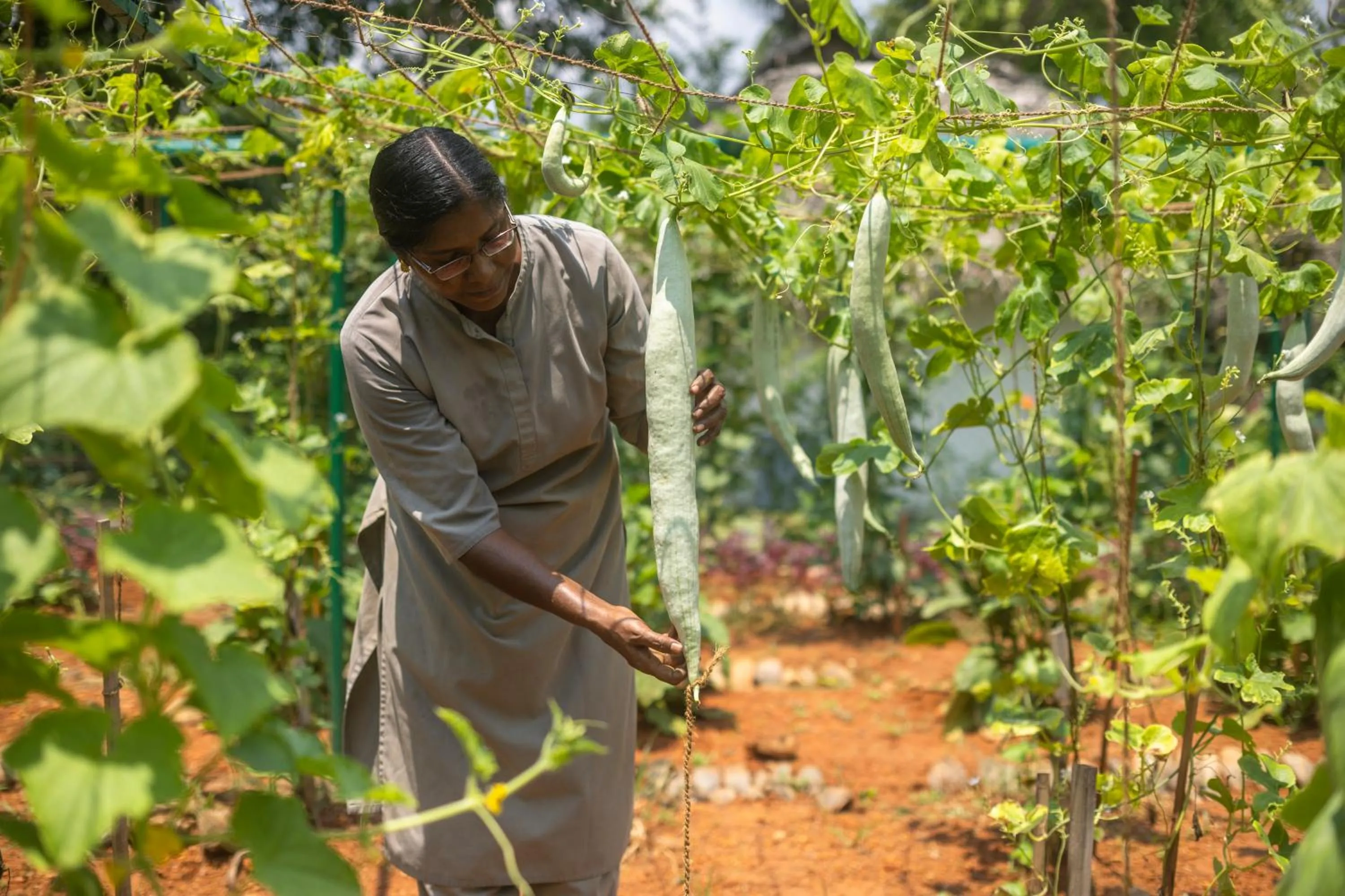 Garden in Coconut Lagoon Kumarakom - A CGH Earth Experience