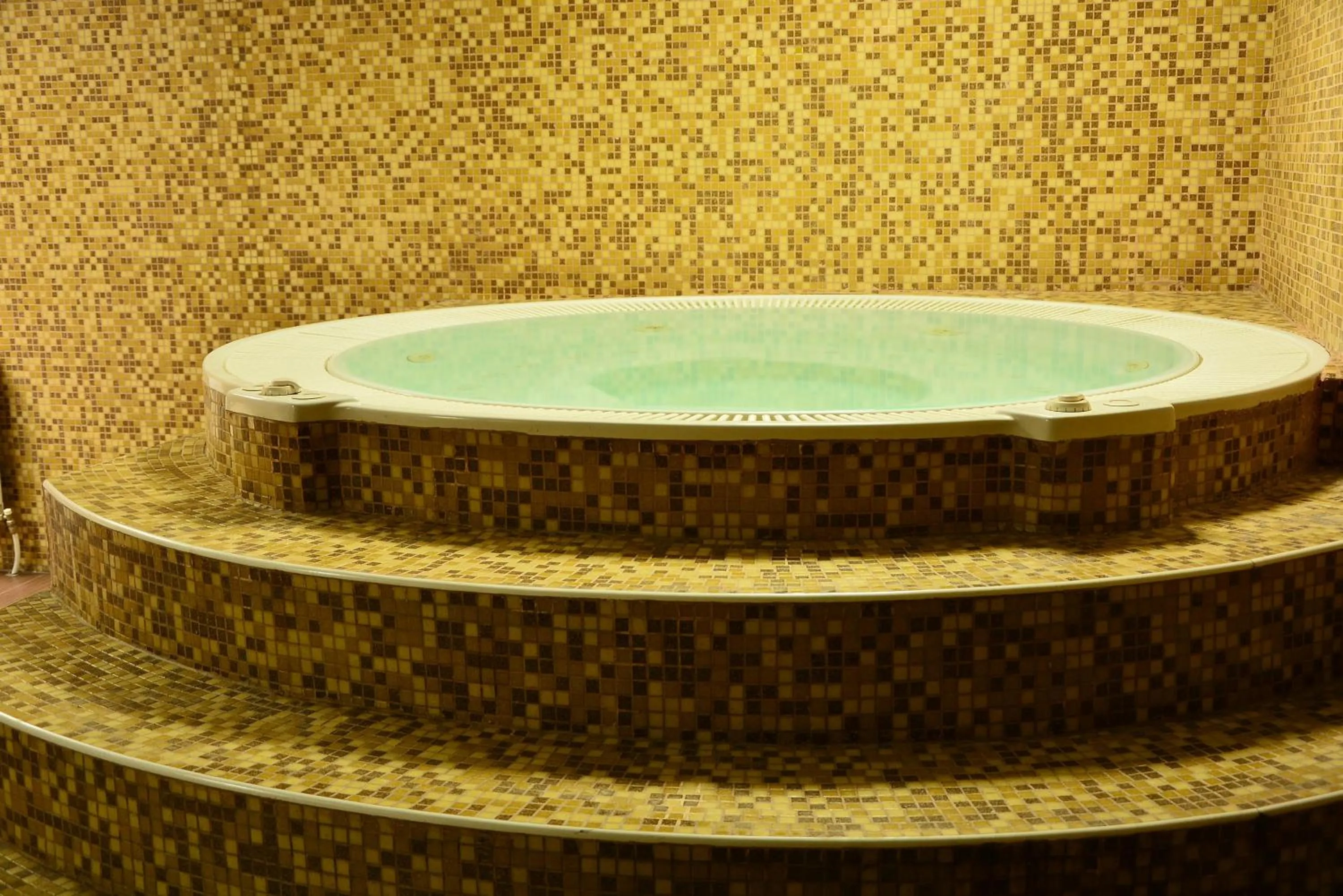 Spa and wellness centre/facilities in Olymp Hotel