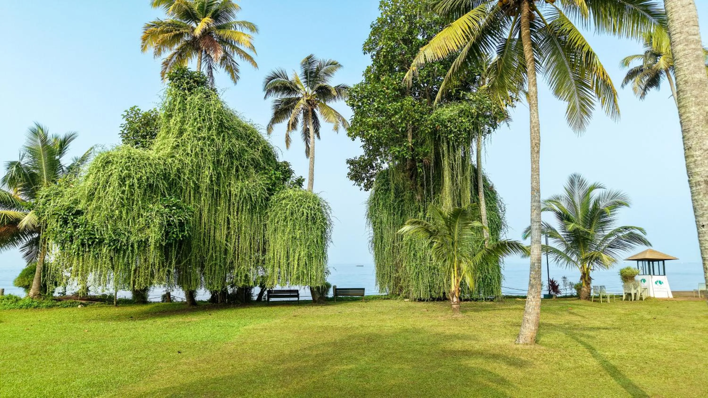 Spring in Lakesong Resort