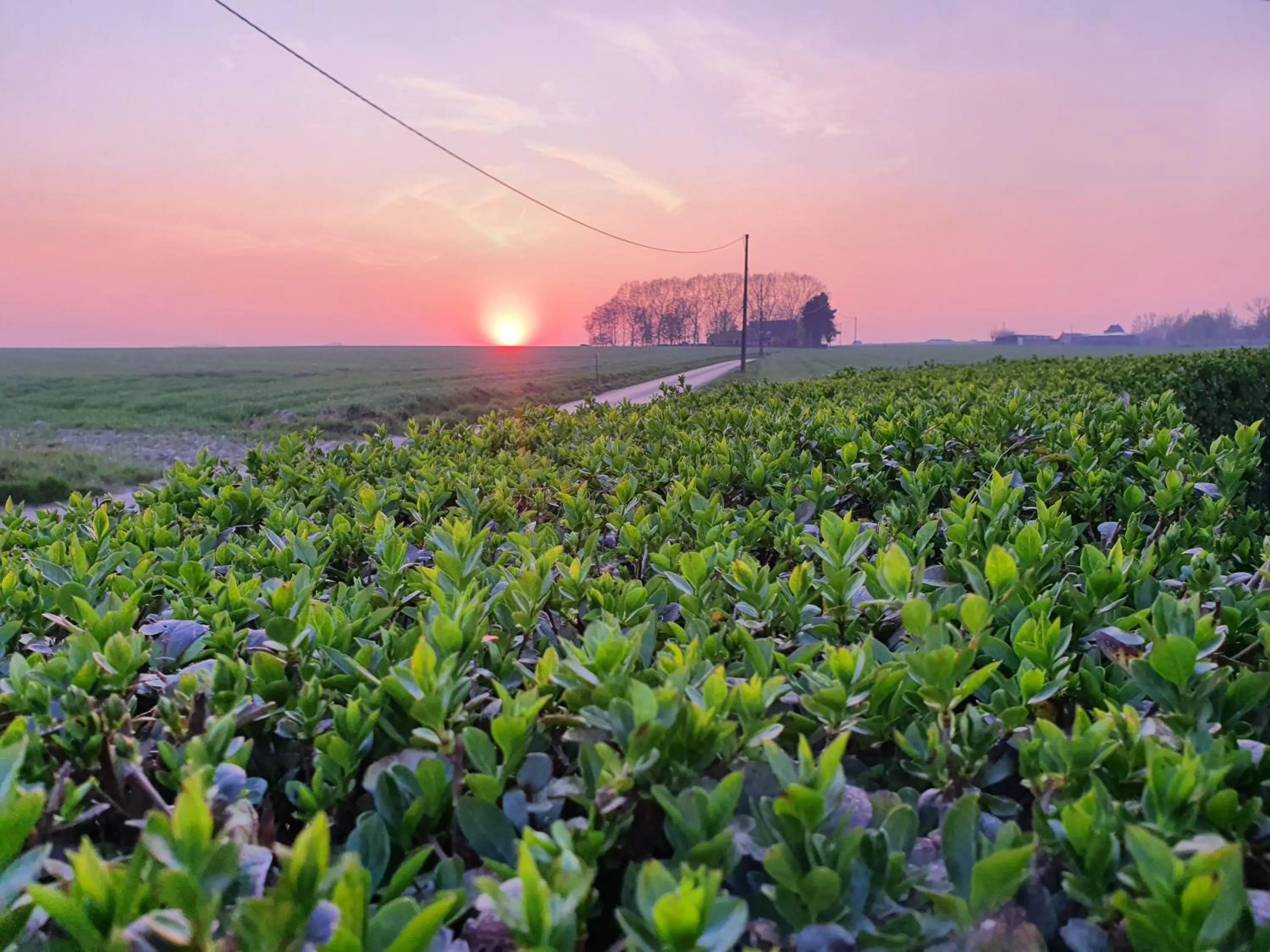 Natural landscape in B&B Kanegem Onverbloemd