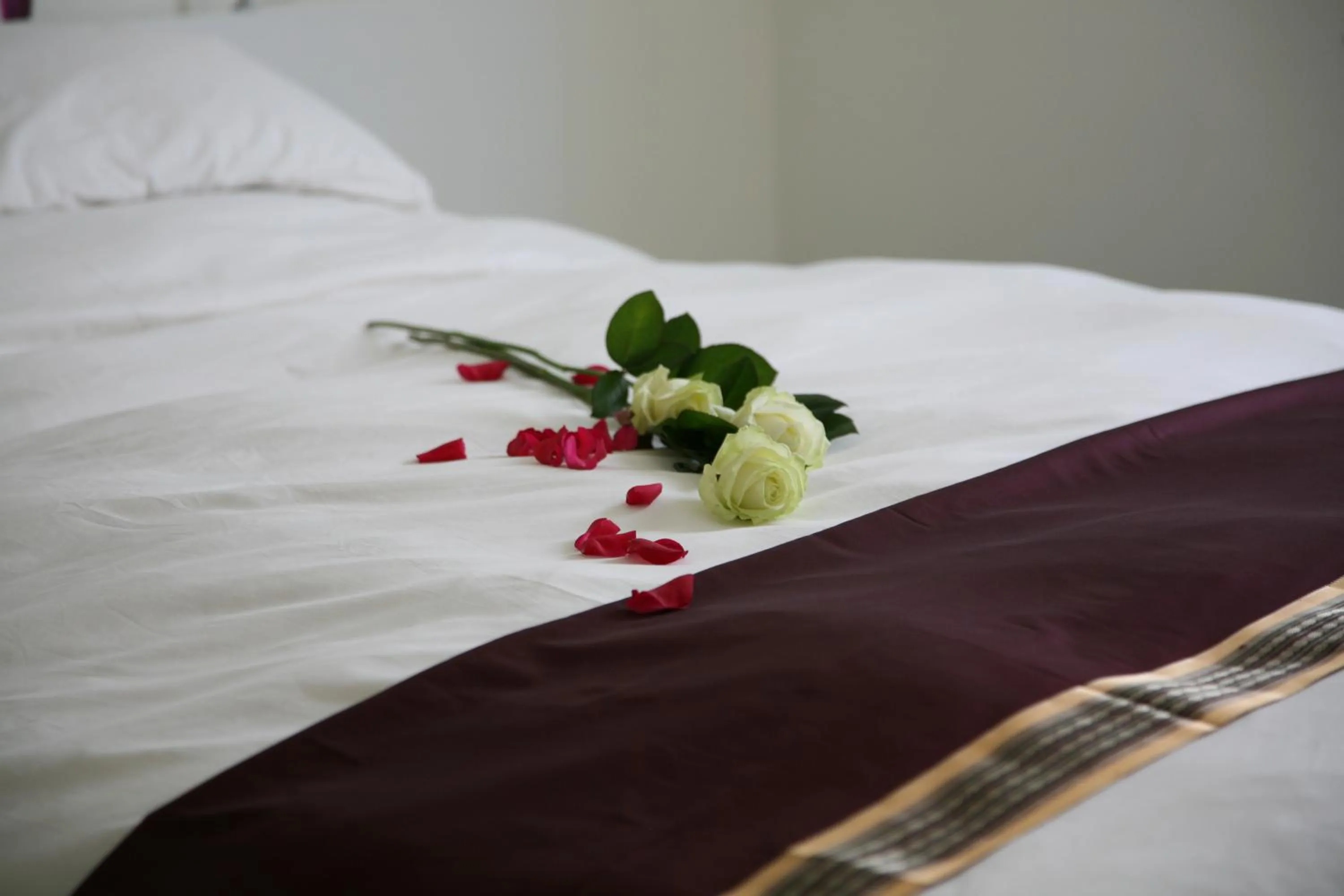 Bed in B&B Kanegem Onverbloemd