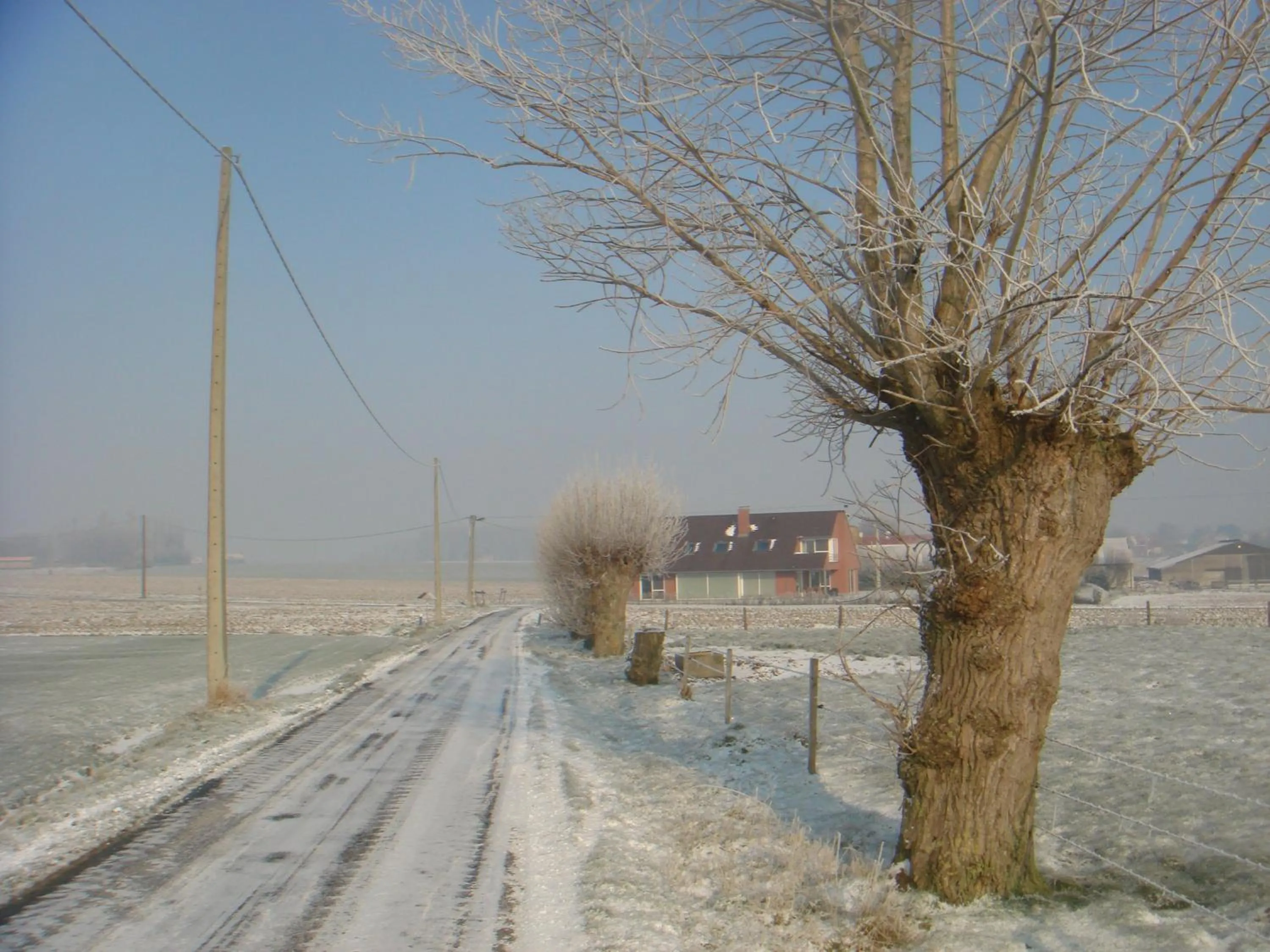 Natural landscape in B&B Kanegem Onverbloemd