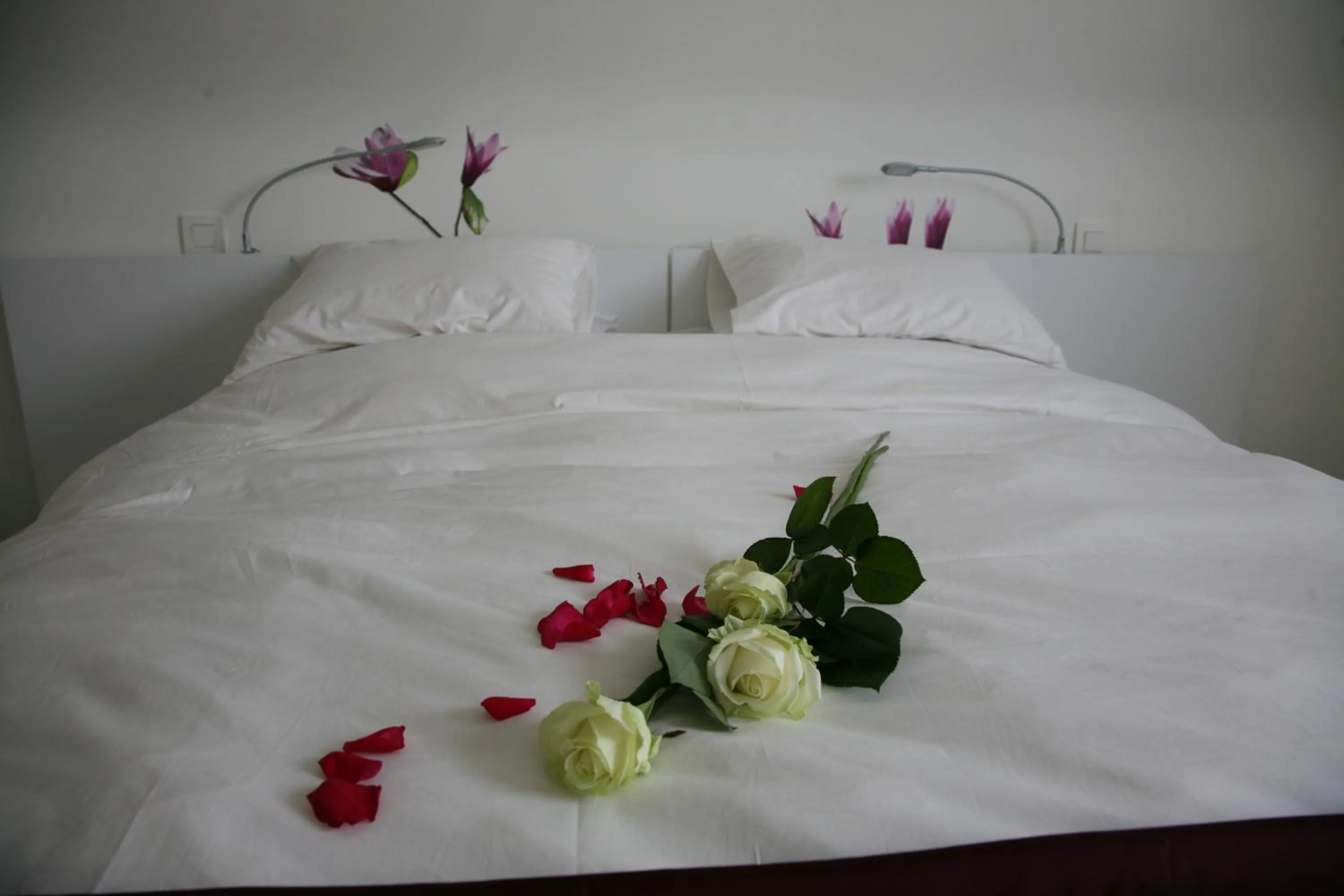 Bed in B&B Kanegem Onverbloemd