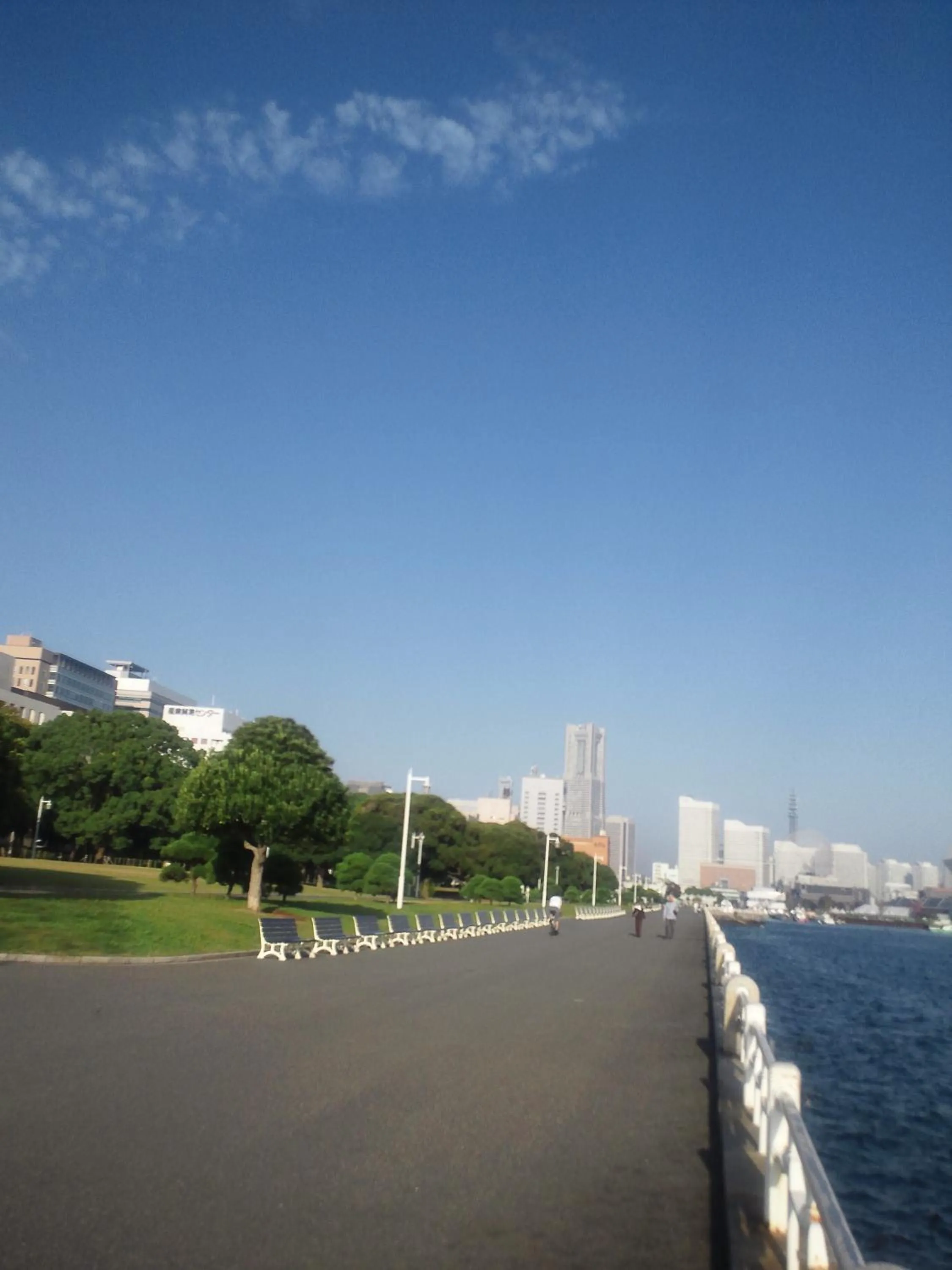 Area and facilities in Rembrandt Style Yokohama Kannai