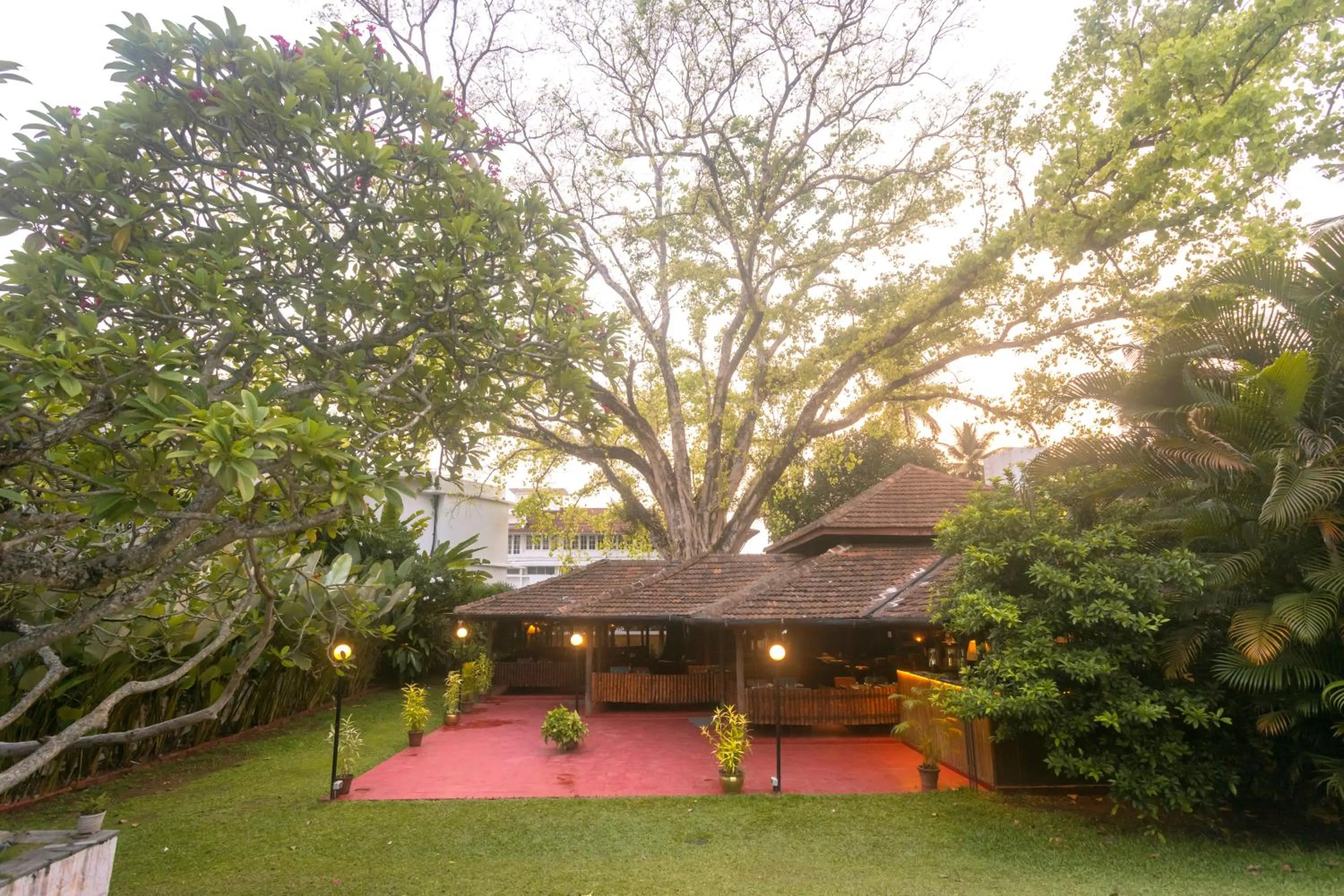 Natural landscape in Casino Hotel - CGH Earth, Cochin
