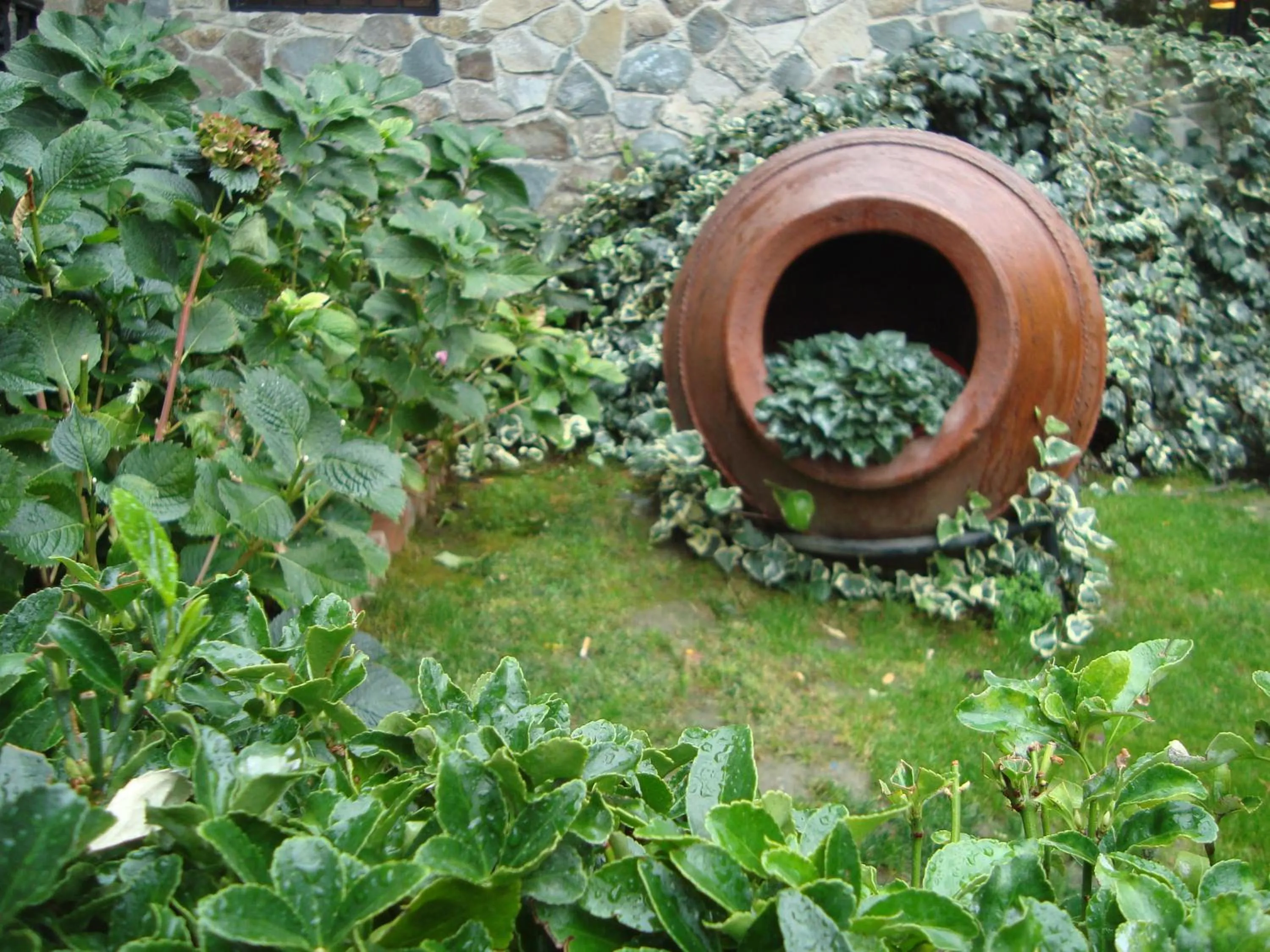 Garden in Rodon Hotel and Resort