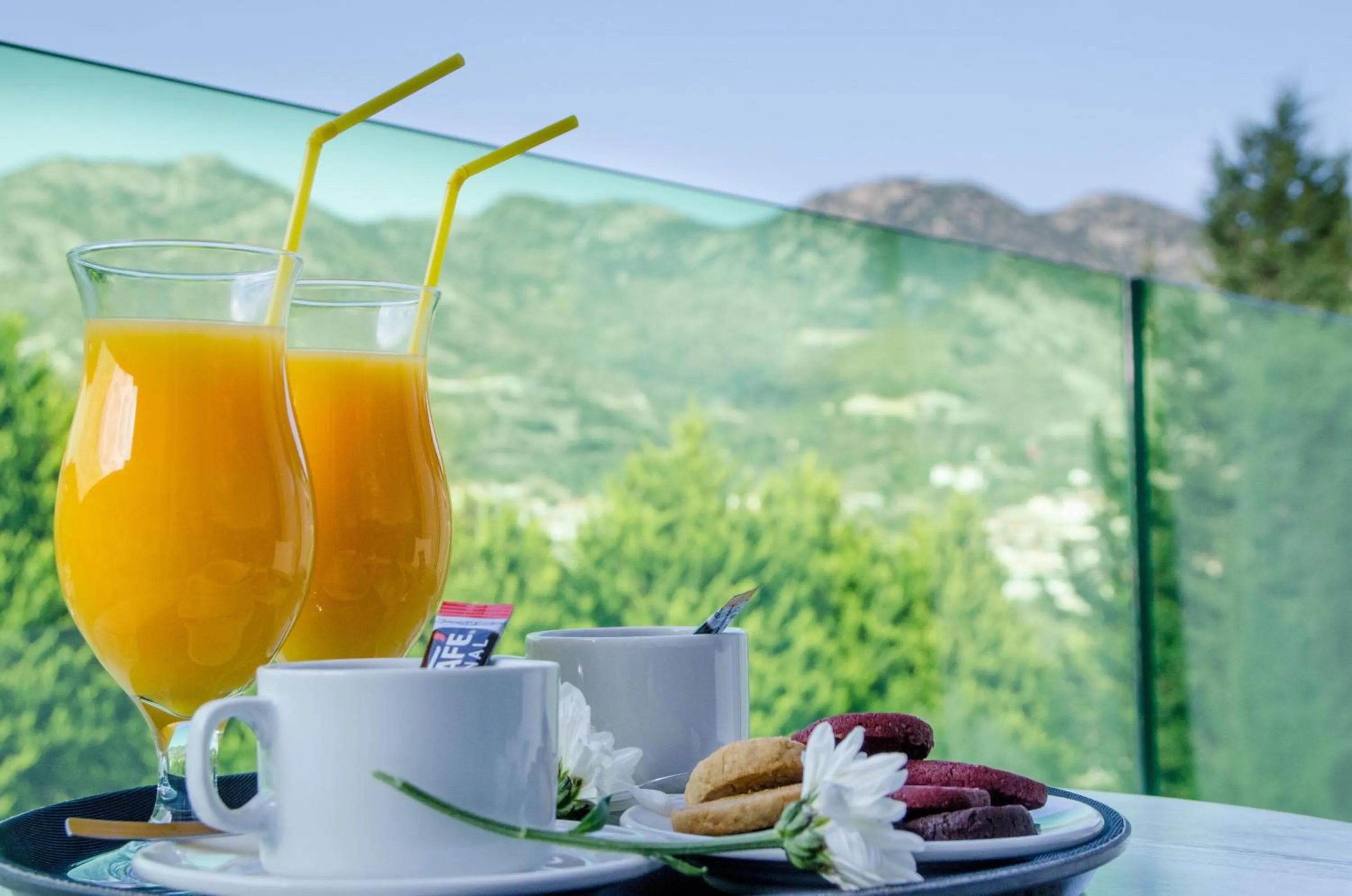 Rodon Hotel and Resort