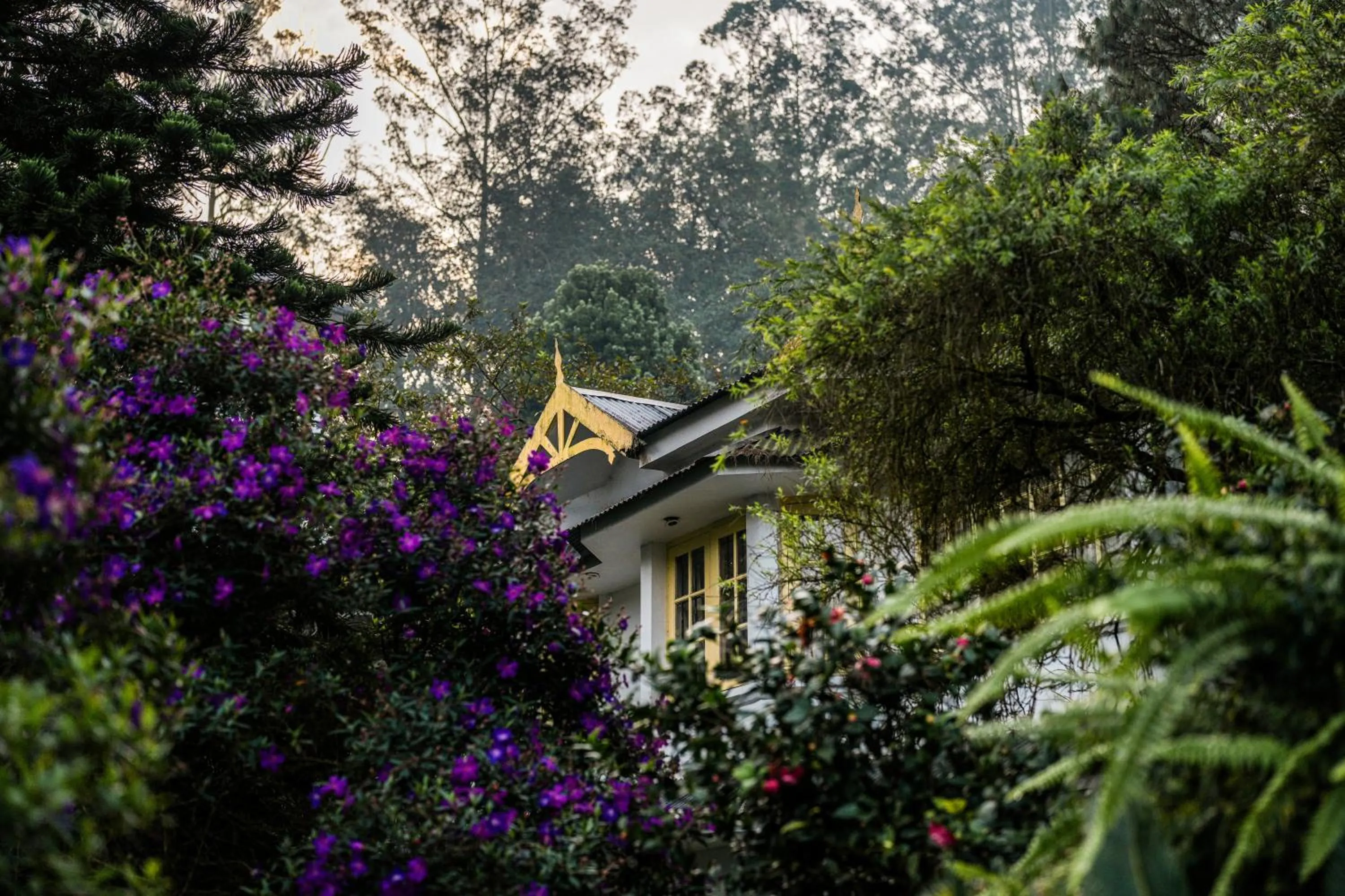 Property building in Eastend Munnar