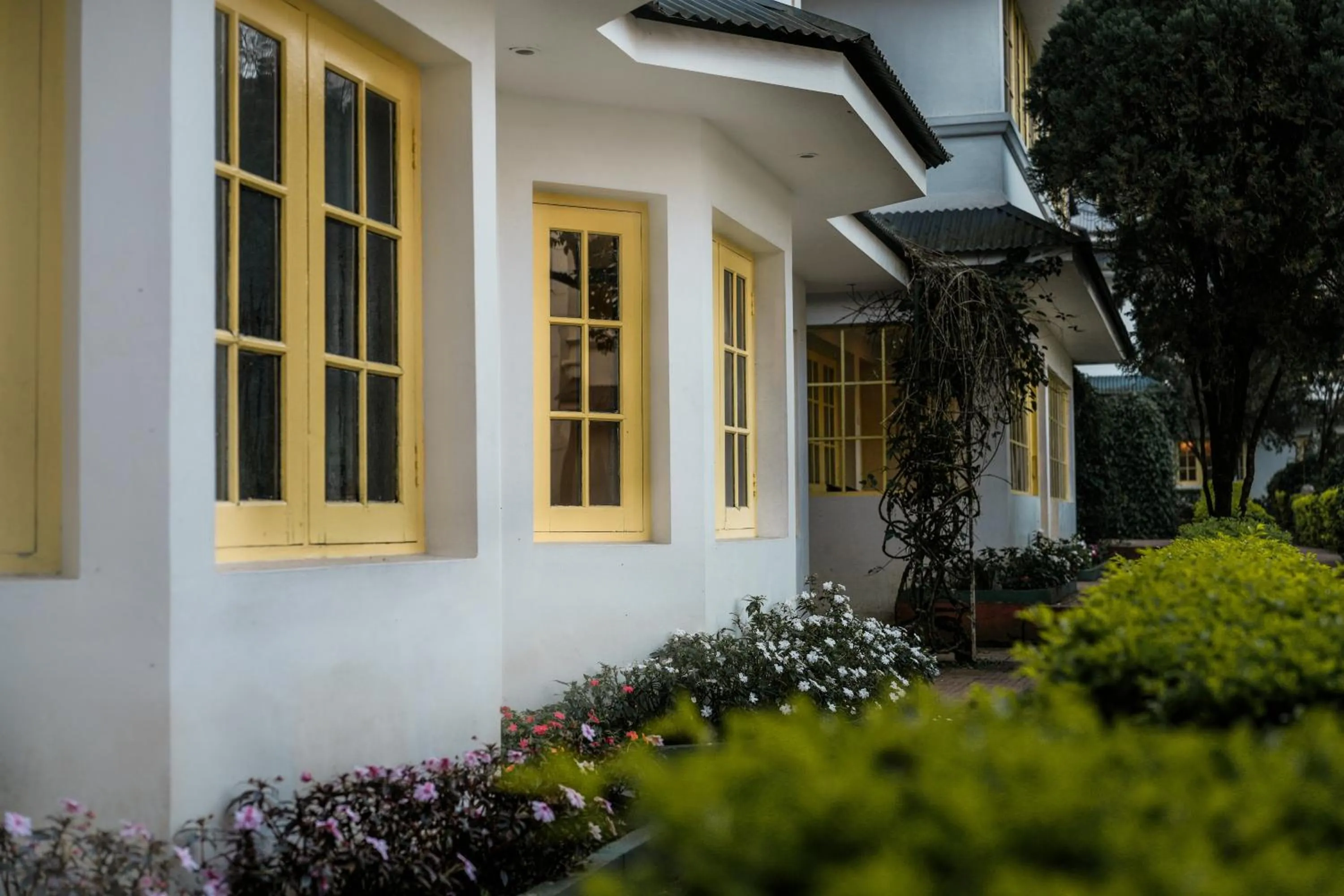 Property building in Eastend Munnar