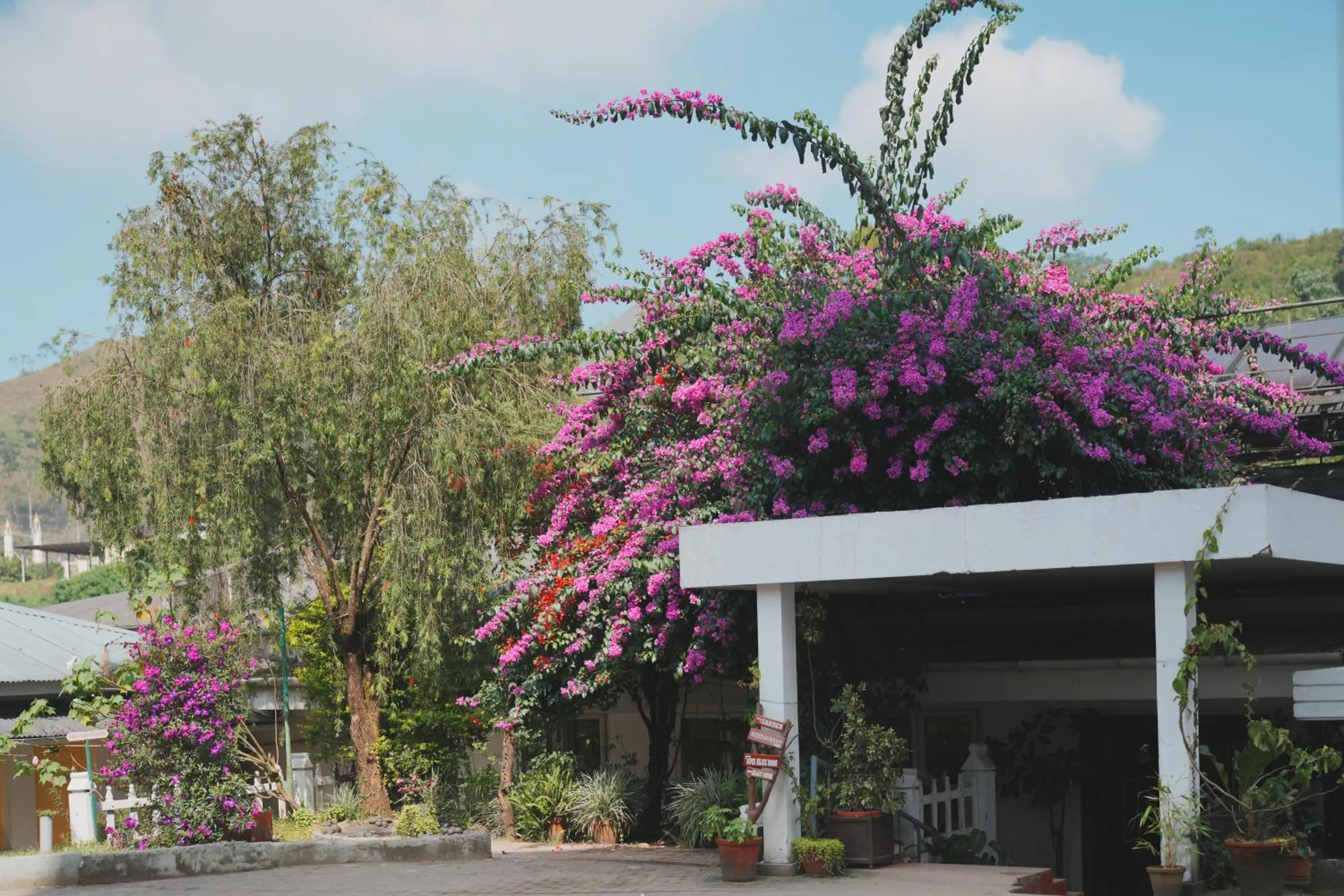 Restaurant/places to eat in Eastend Munnar