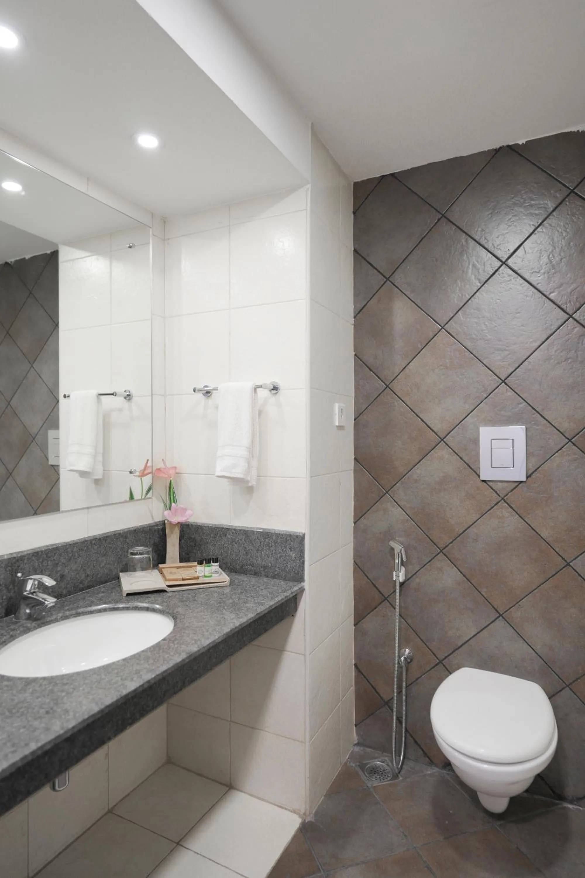 Bathroom in Eastend Munnar