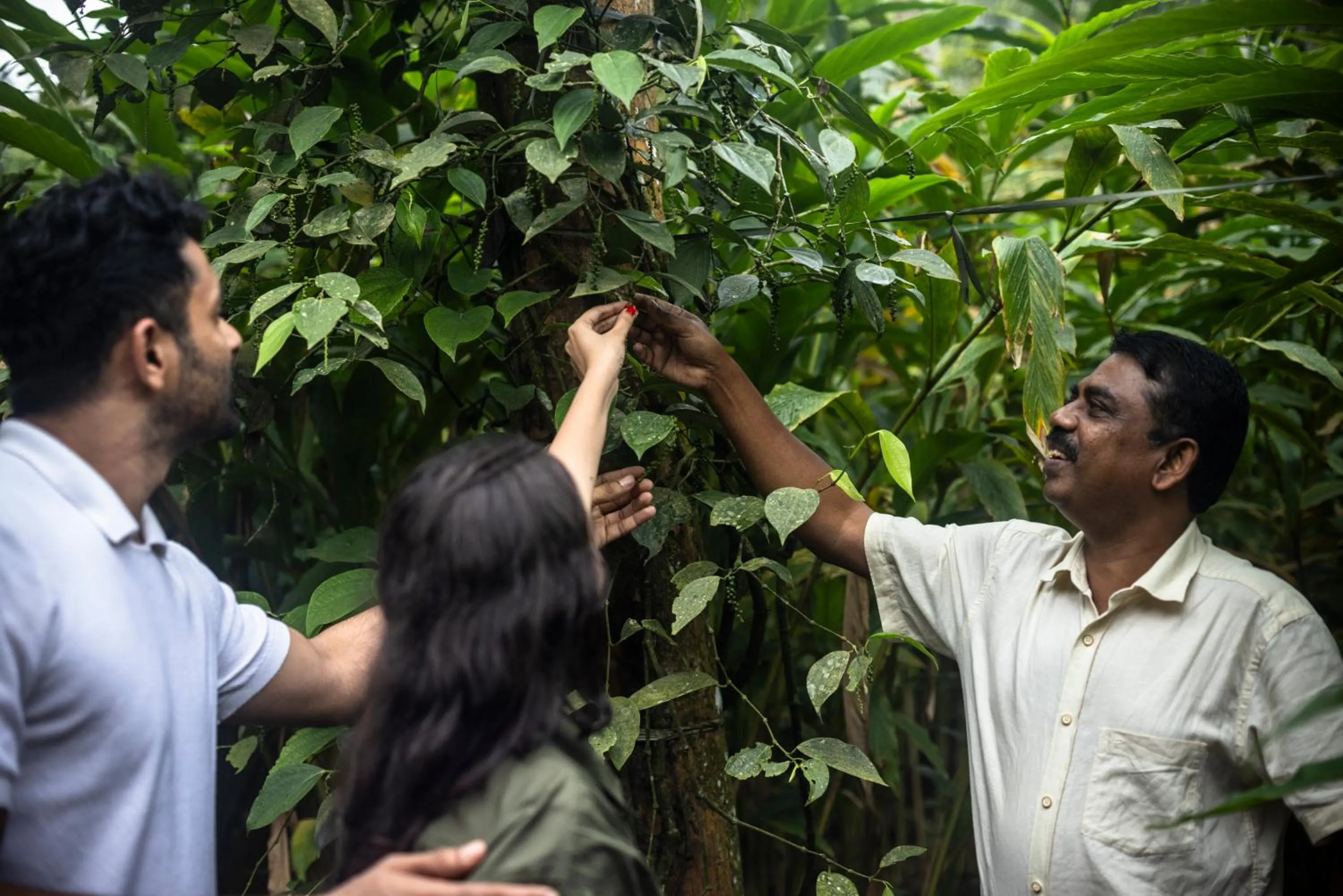 Natural landscape in Spice Village Thekkady - A CGH Earth Experience
