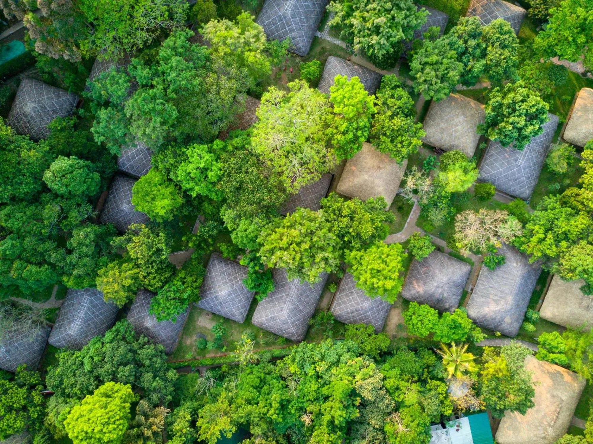 Spring in Spice Village Thekkady - A CGH Earth Experience