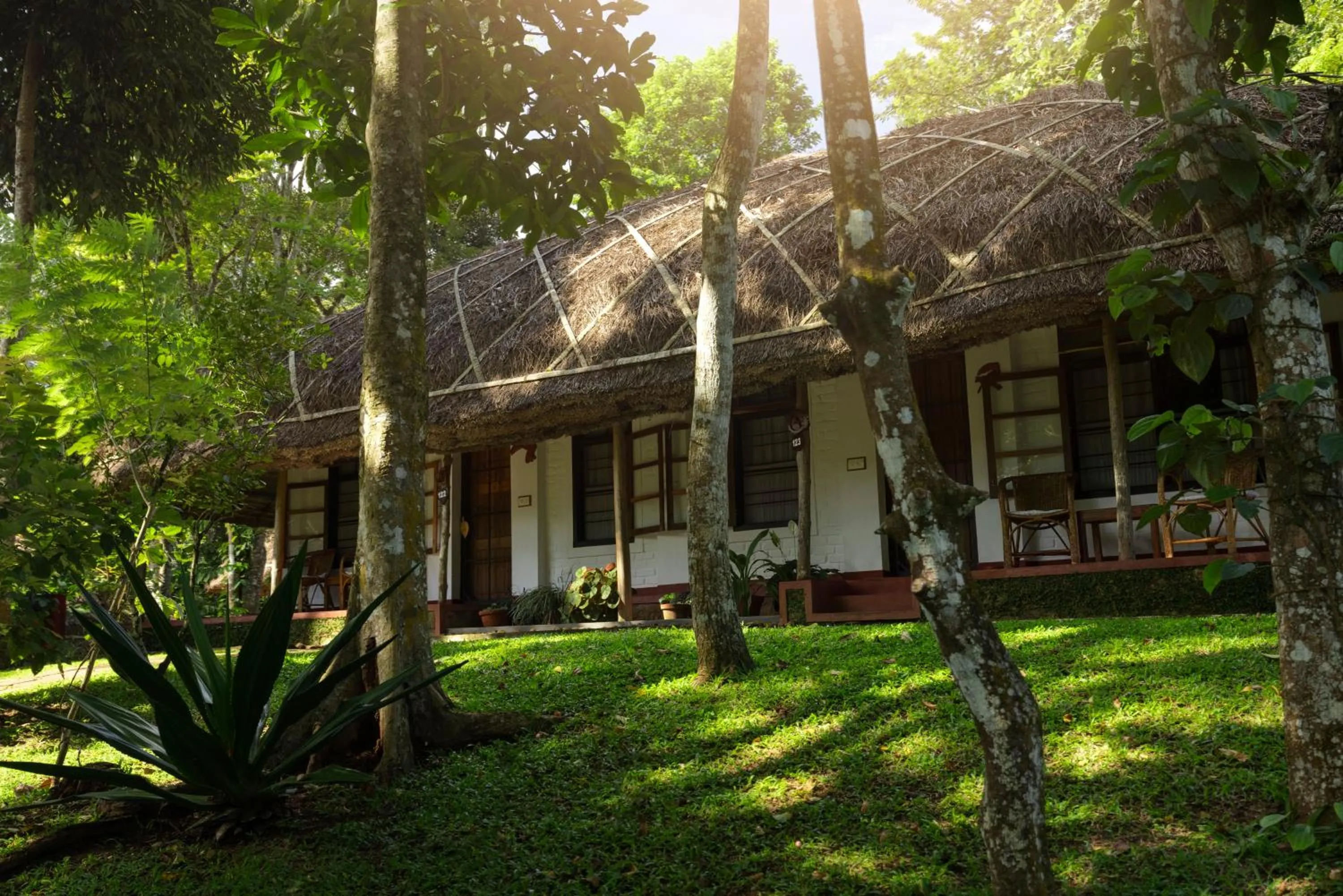 Property building in Spice Village Thekkady - A CGH Earth Experience