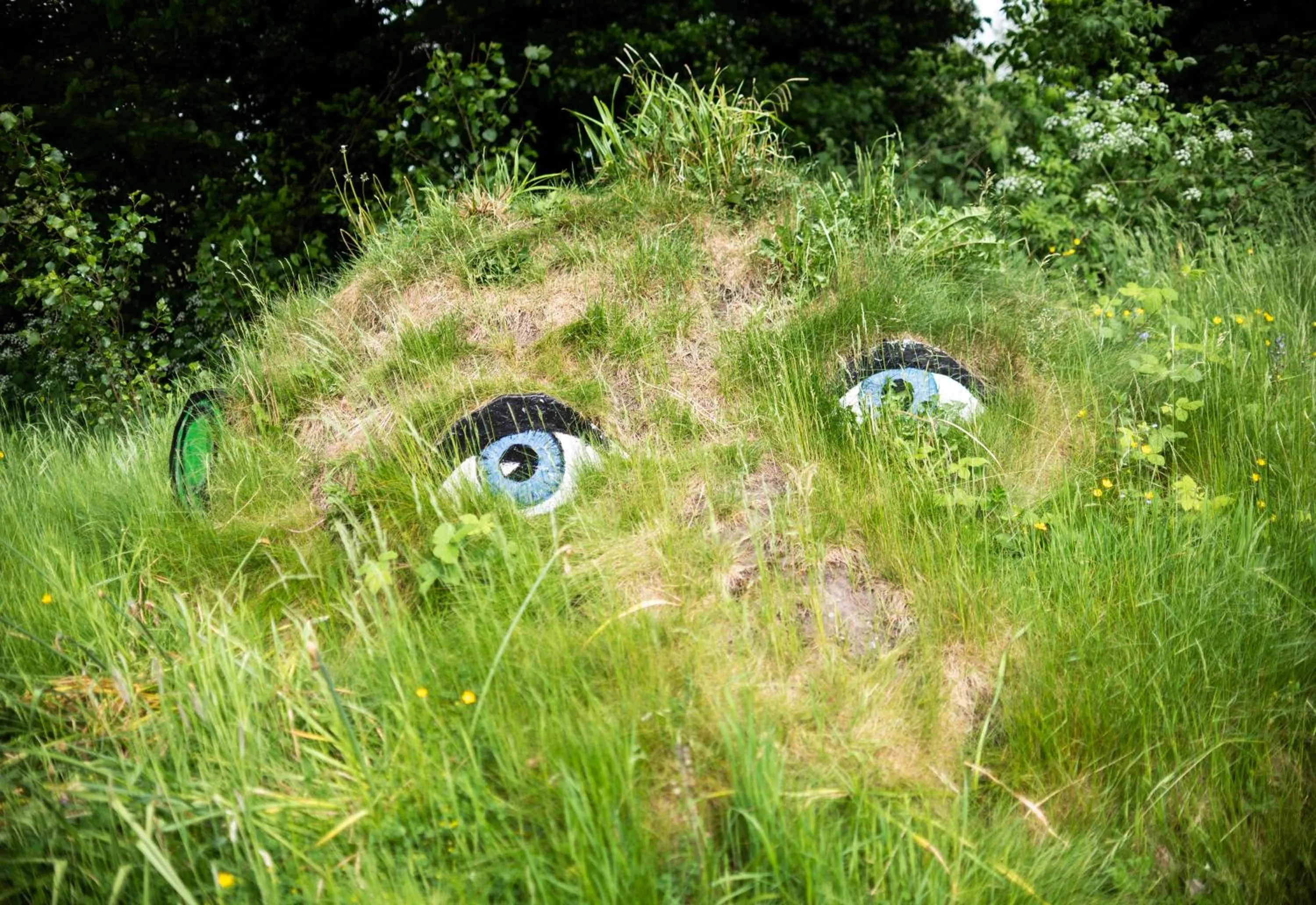 Garden in Statham Lodge Hotel