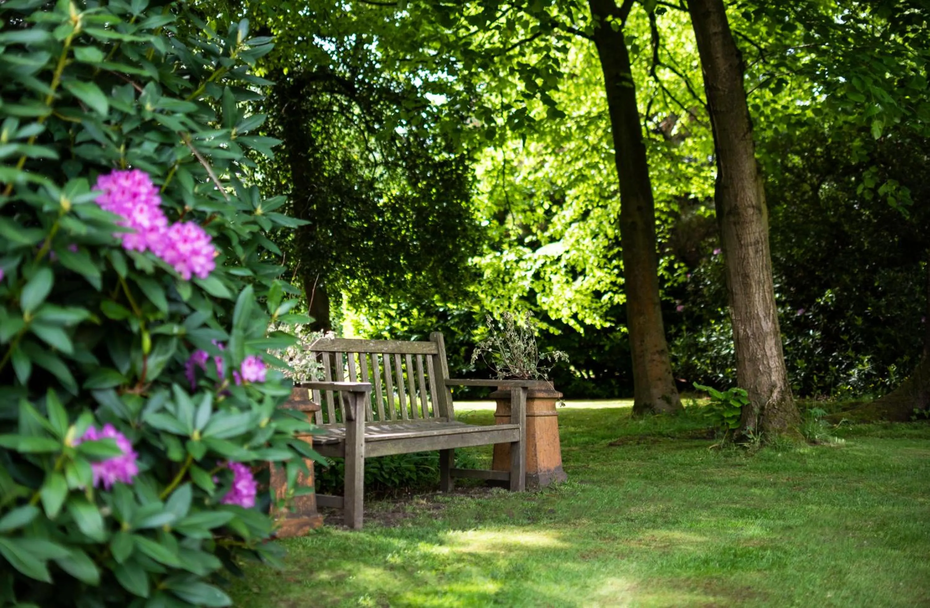 Garden in Statham Lodge Hotel