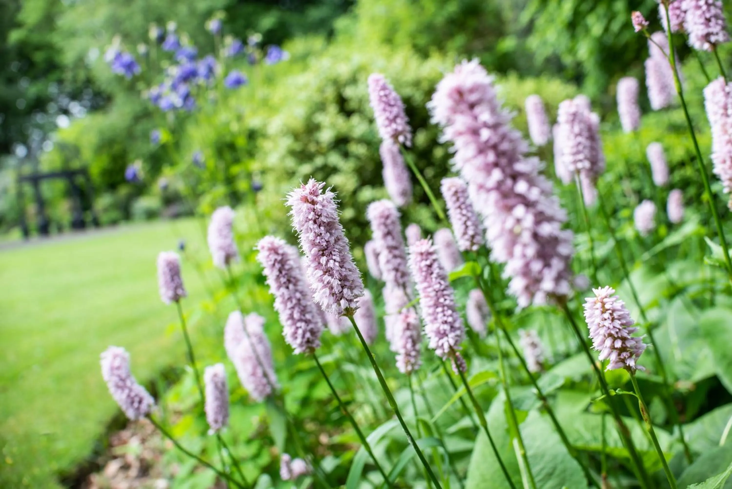 Natural landscape in Statham Lodge Hotel