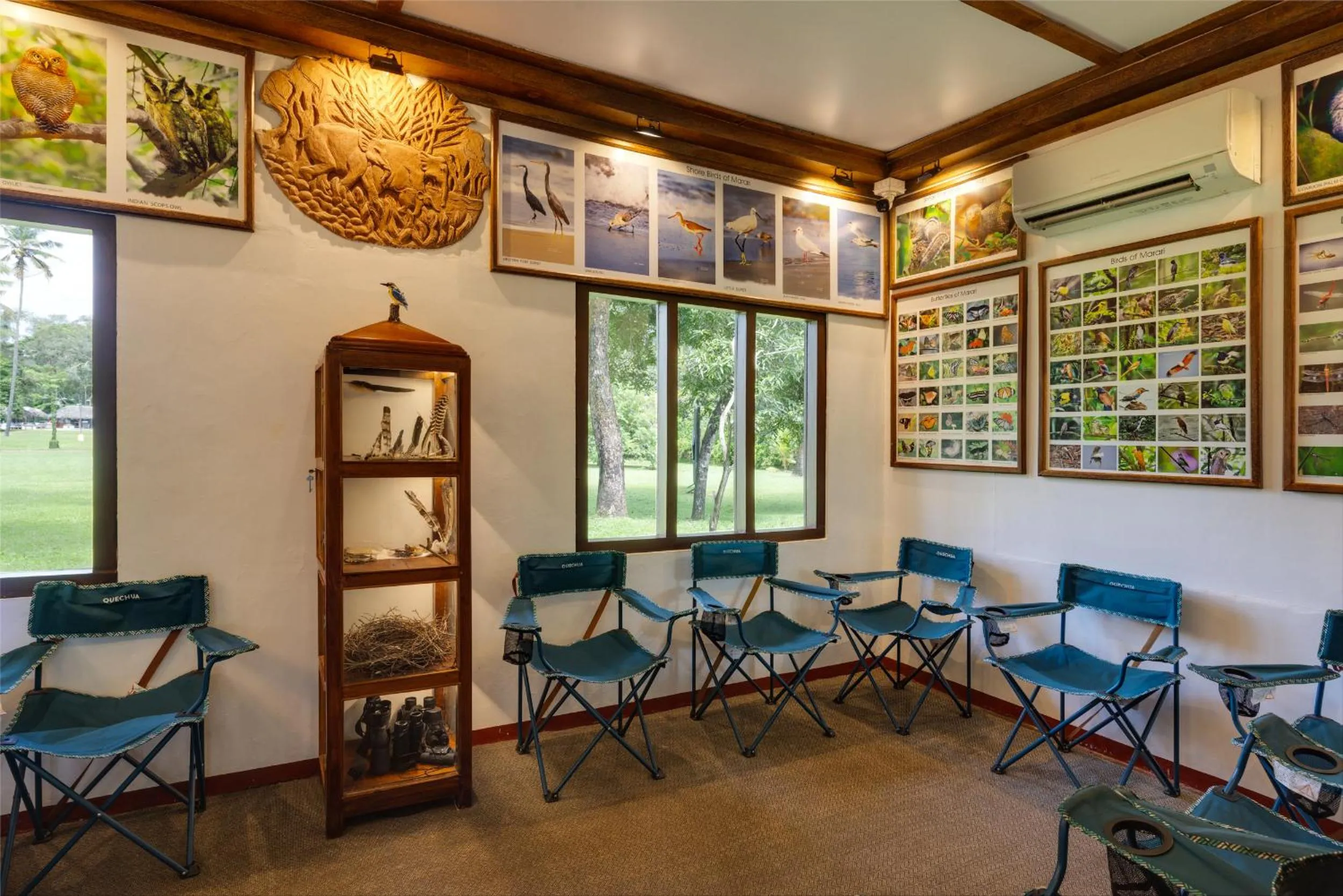 Activities in Marari Beach Resort Alleppey - A CGH Earth Experience