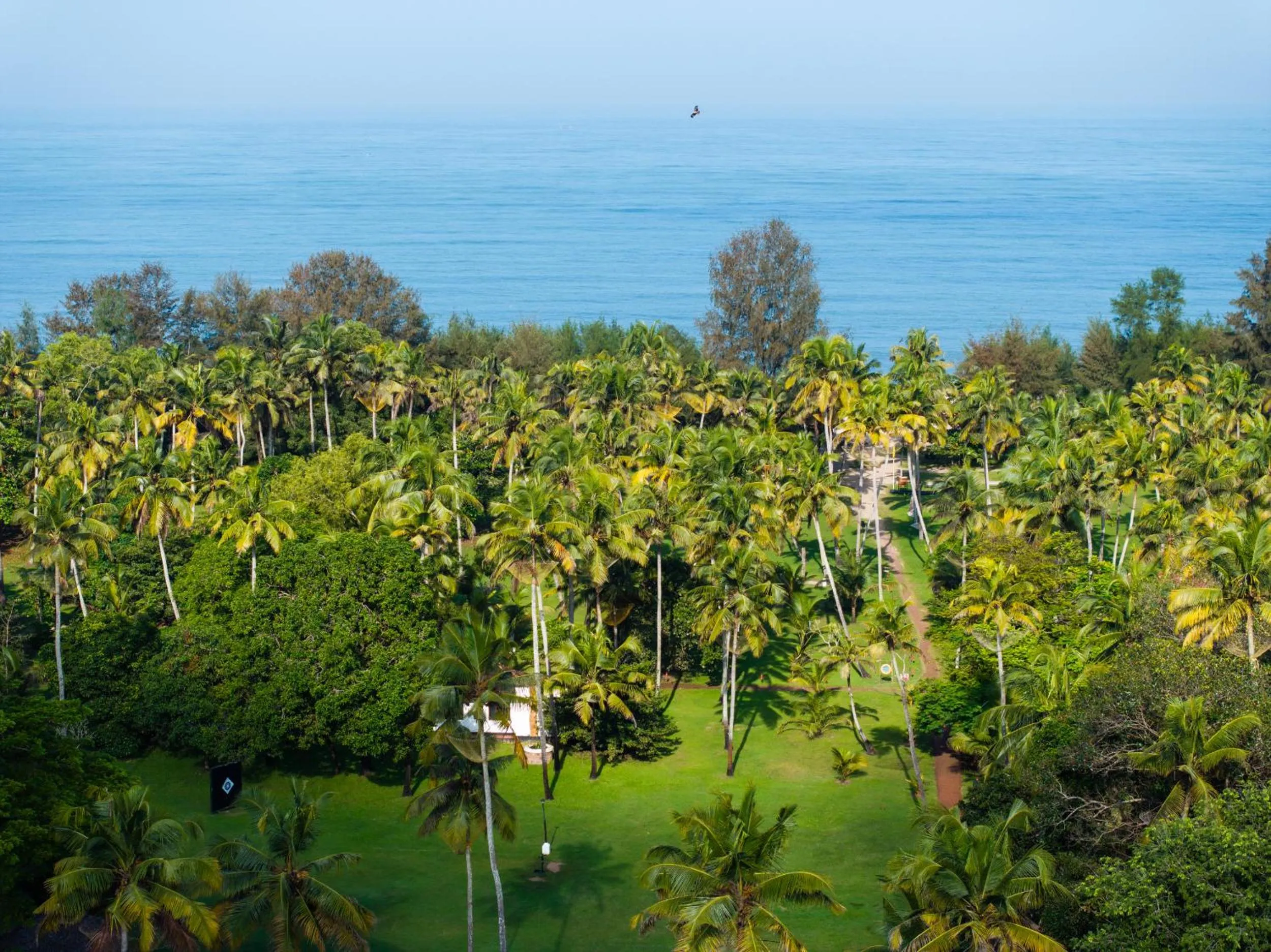 Natural landscape in Marari Beach Resort Alleppey - A CGH Earth Experience