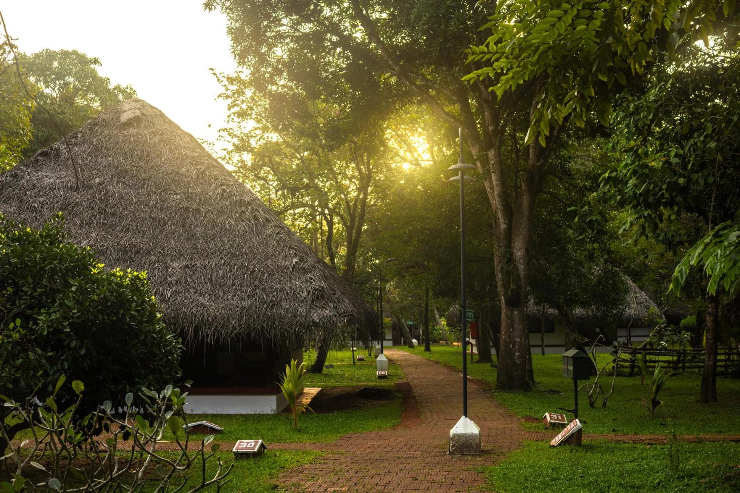 Natural landscape in Marari Beach Resort Alleppey - A CGH Earth Experience