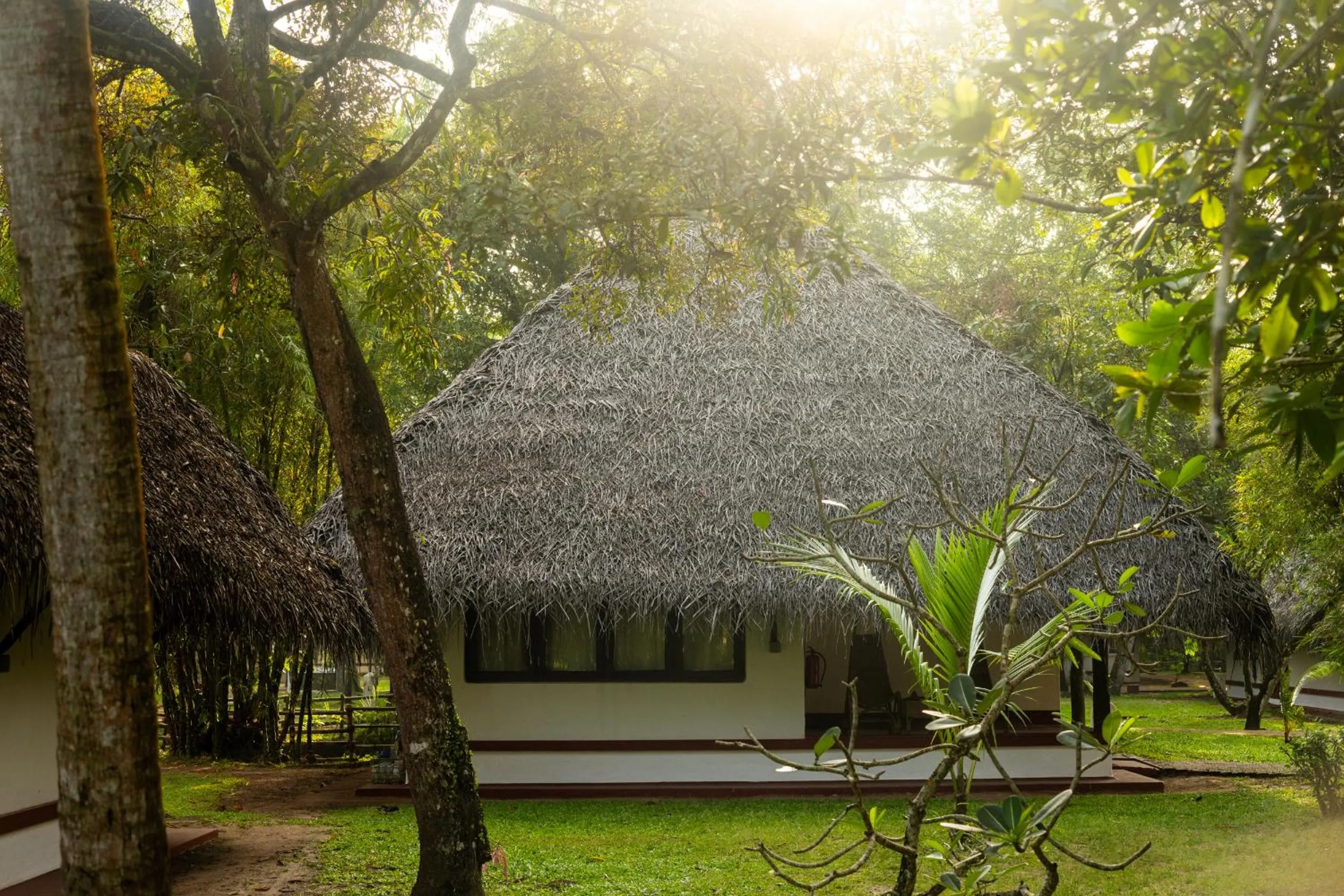 Garden in Marari Beach Resort Alleppey - A CGH Earth Experience