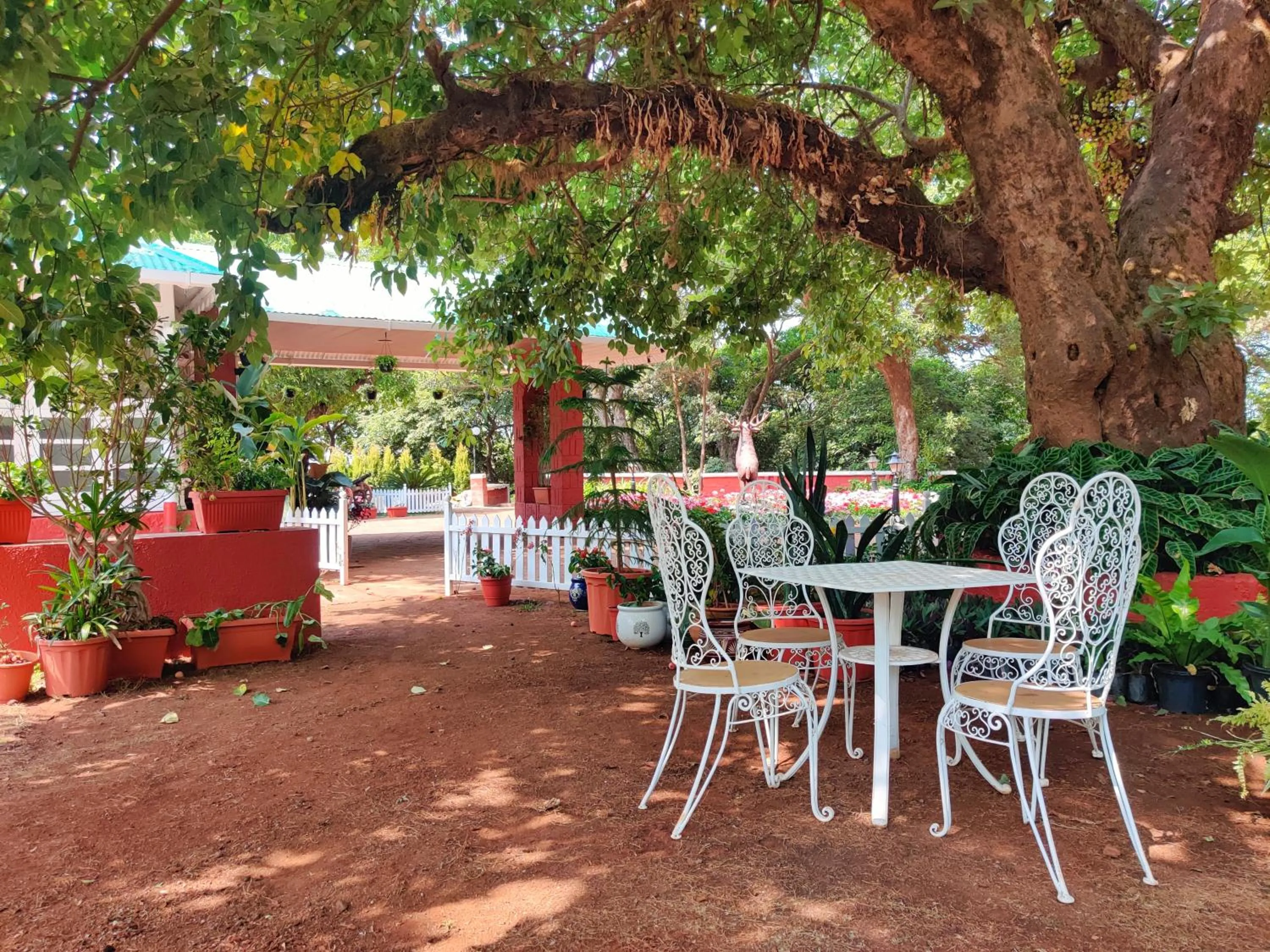 Day in Chambers Mahabaleshwar, A Club Mahindra Associate Resort