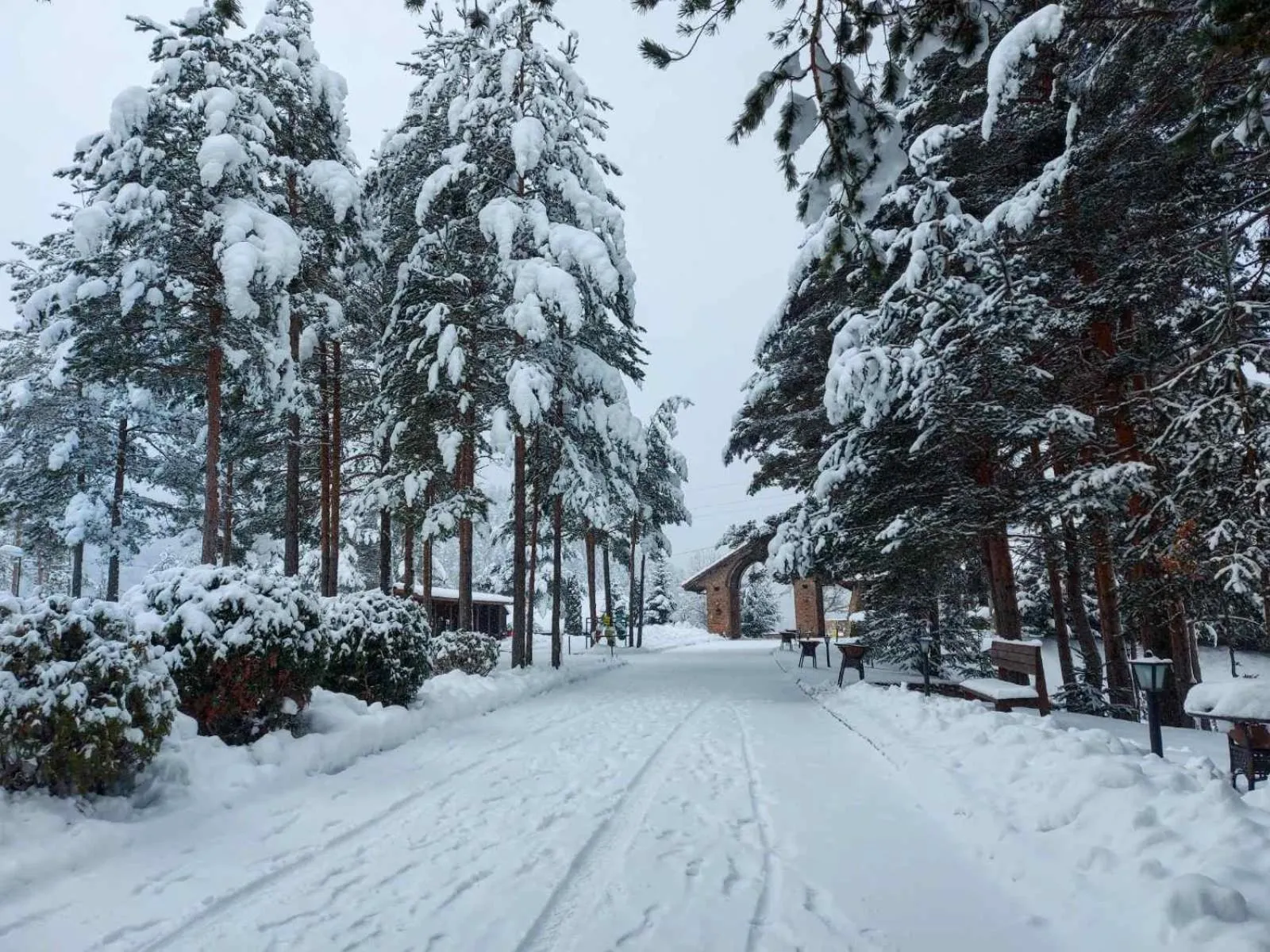 Natural landscape in Aurora Resort & Spa