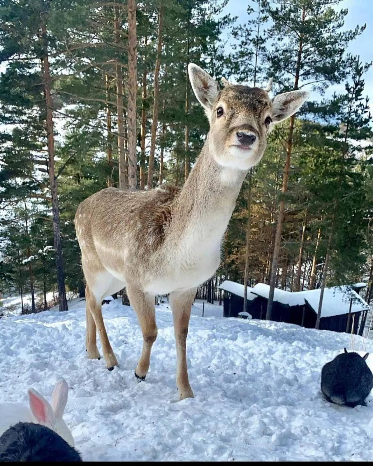 Natural landscape in Aurora Resort & Spa