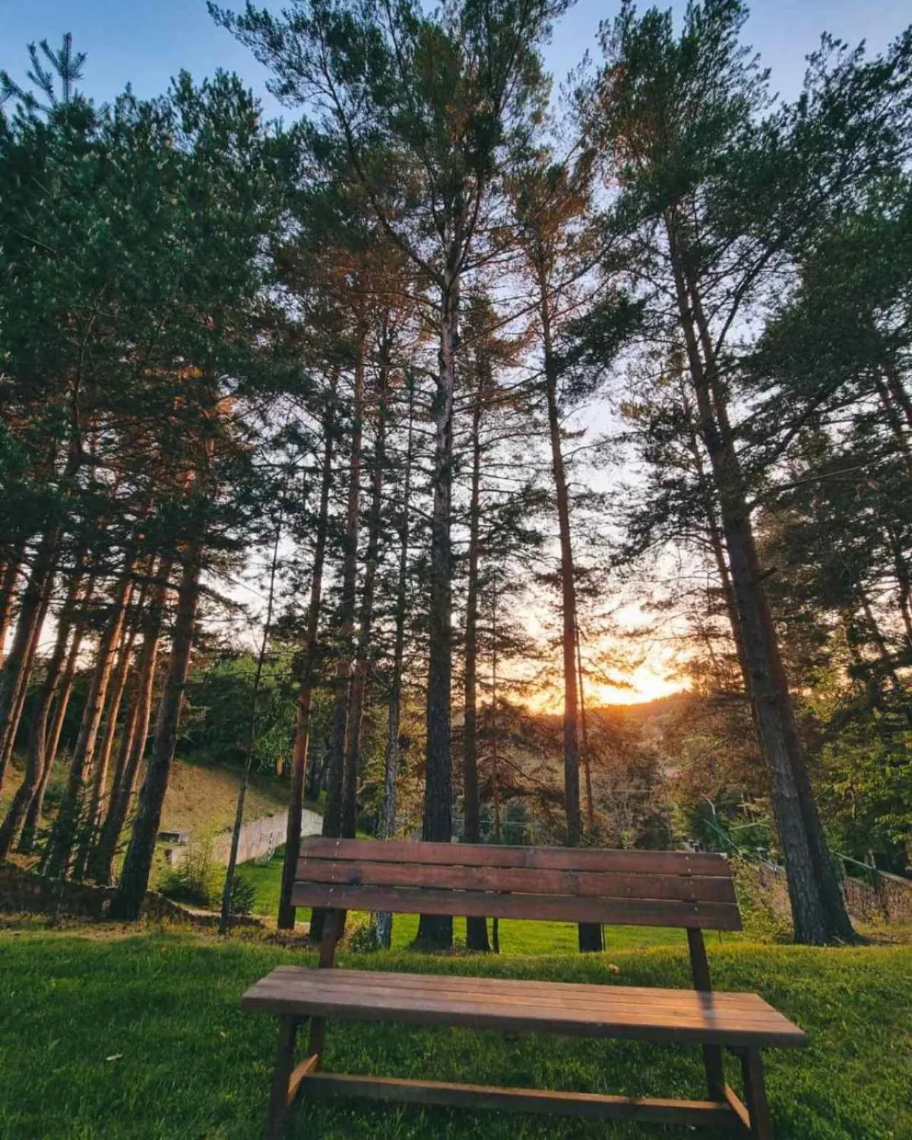 Natural landscape in Aurora Resort & Spa