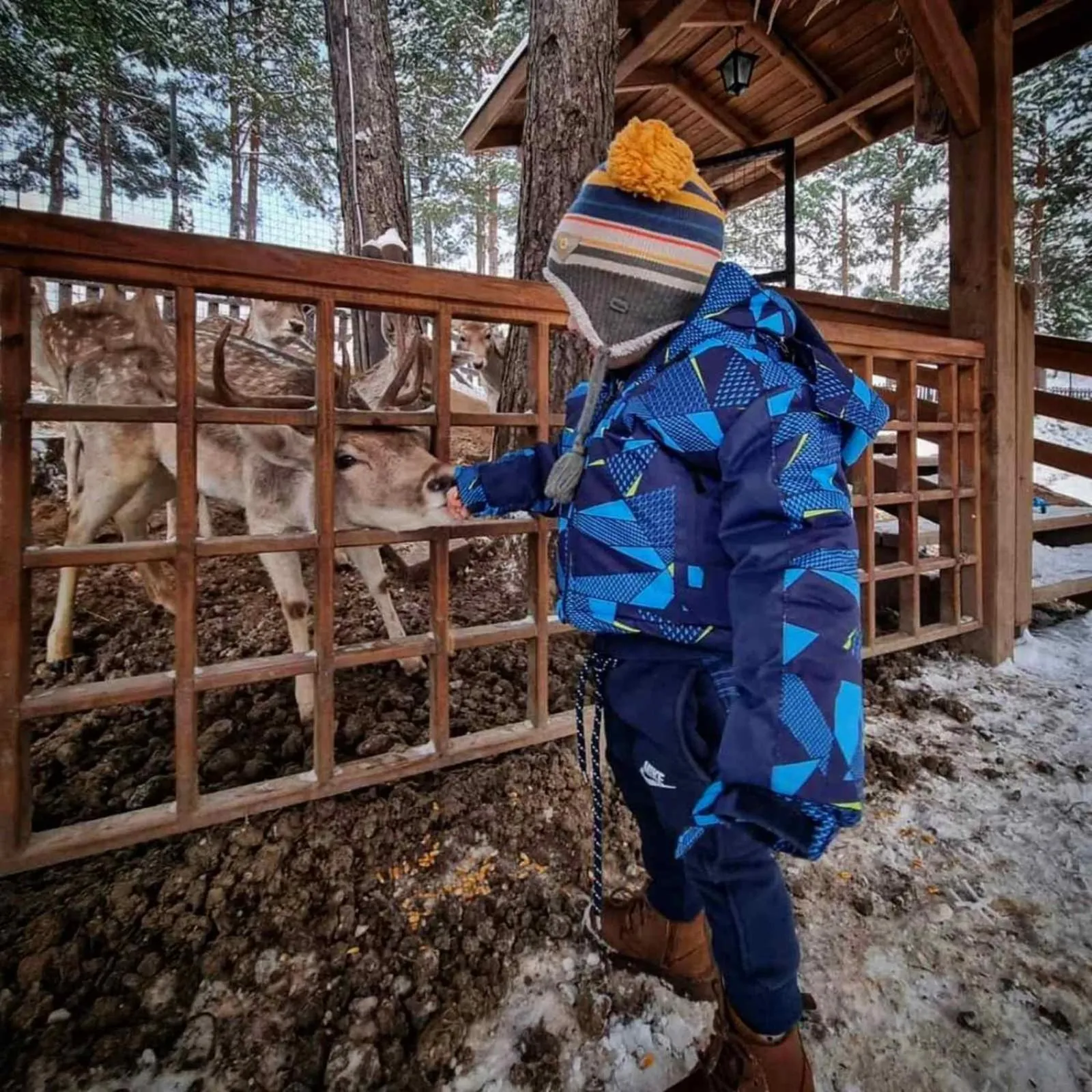 Activities in Aurora Resort & Spa