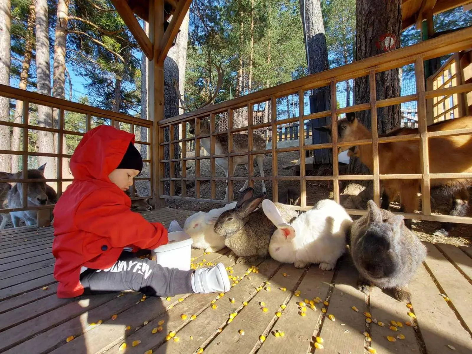 Activities in Aurora Resort & Spa