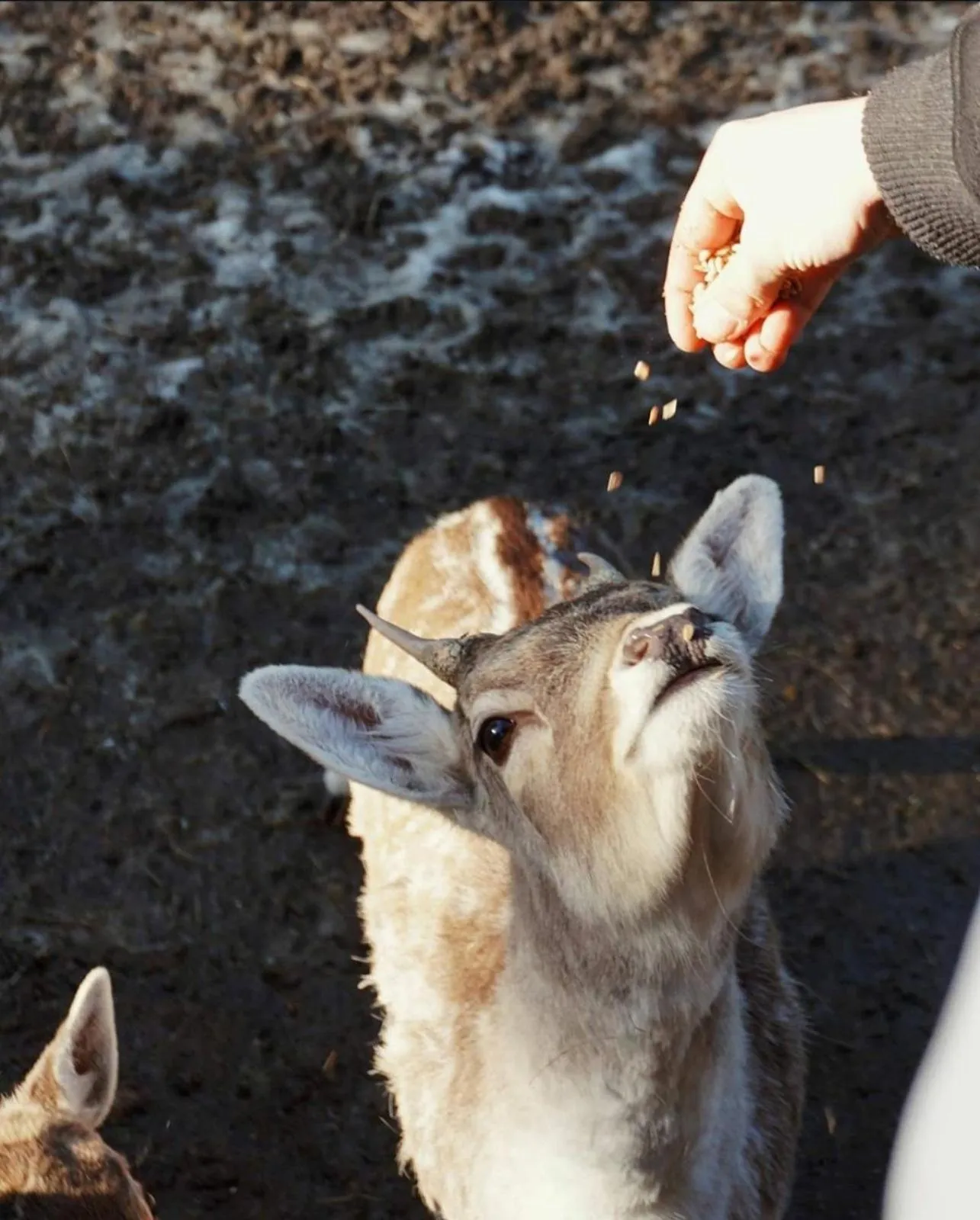 Activities in Aurora Resort & Spa